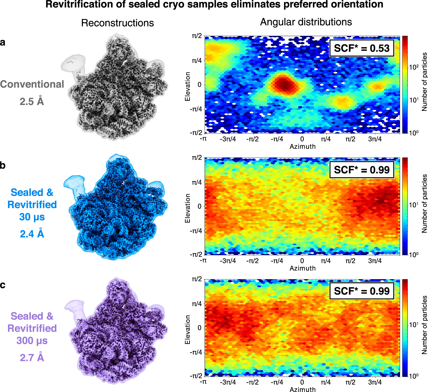 Fig. 4: Revitrification of sealed cryo samples eliminates preferred orientation.
