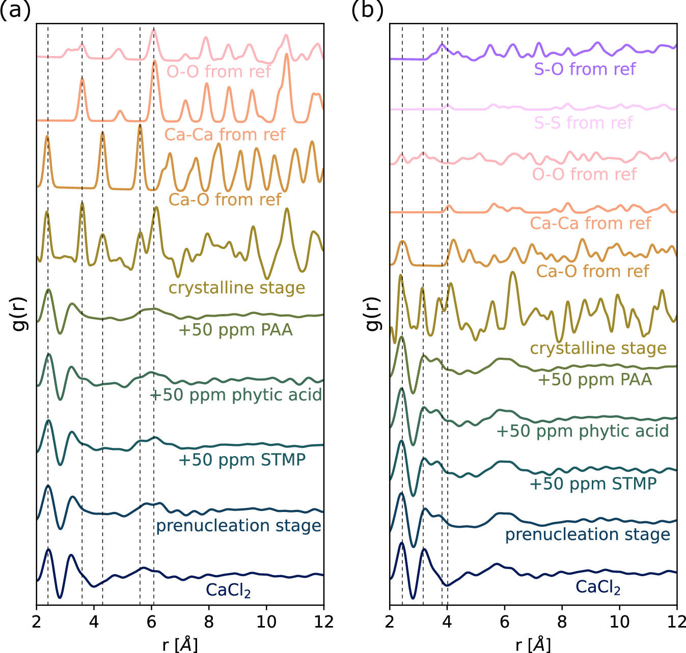 Fig. 4: Prenucleation stages in portlandite and gypsum nucleation.