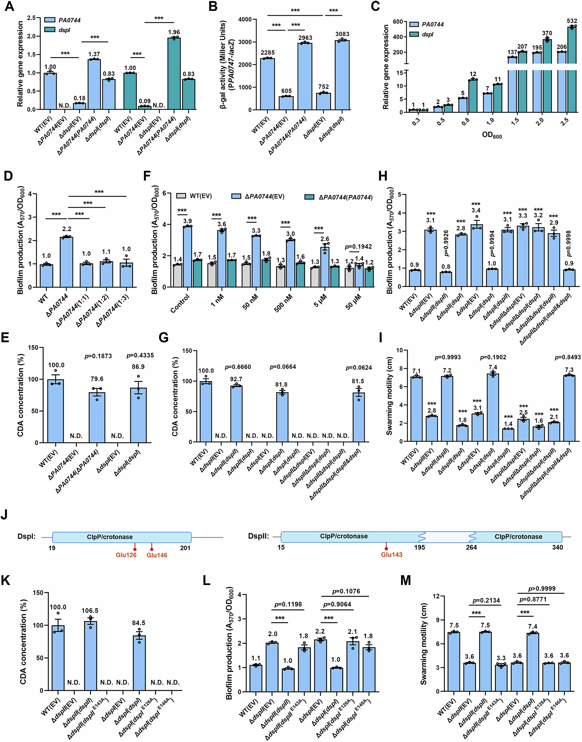 Fig. 2: PA0744 and DspI are co-expressed in a cell density-dependent manner and indispensable for CDA biosynthesis.