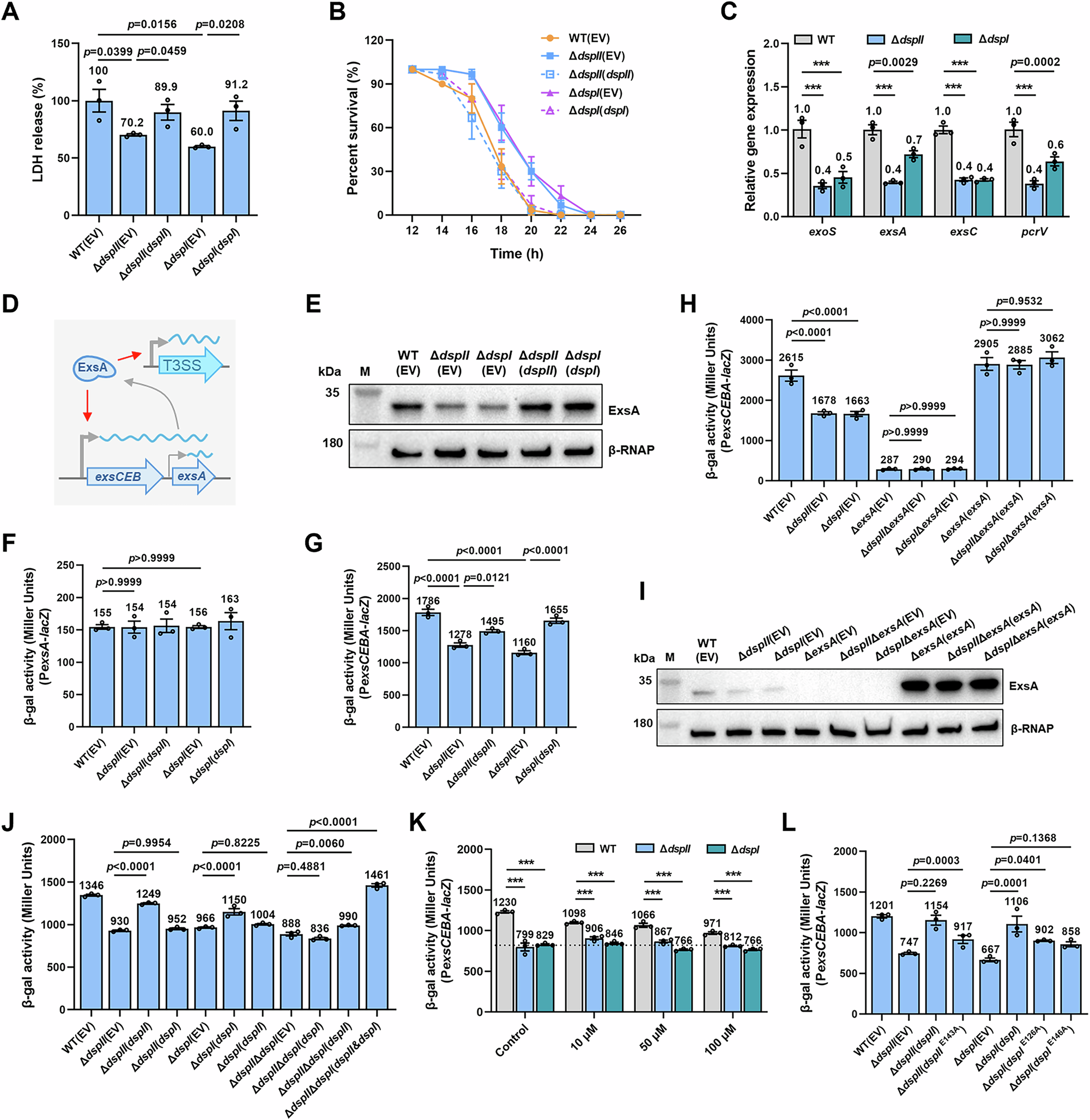 Fig. 5: DspII and DspI synergistically upregulate T3SS gene expression and acute pathogenesis.