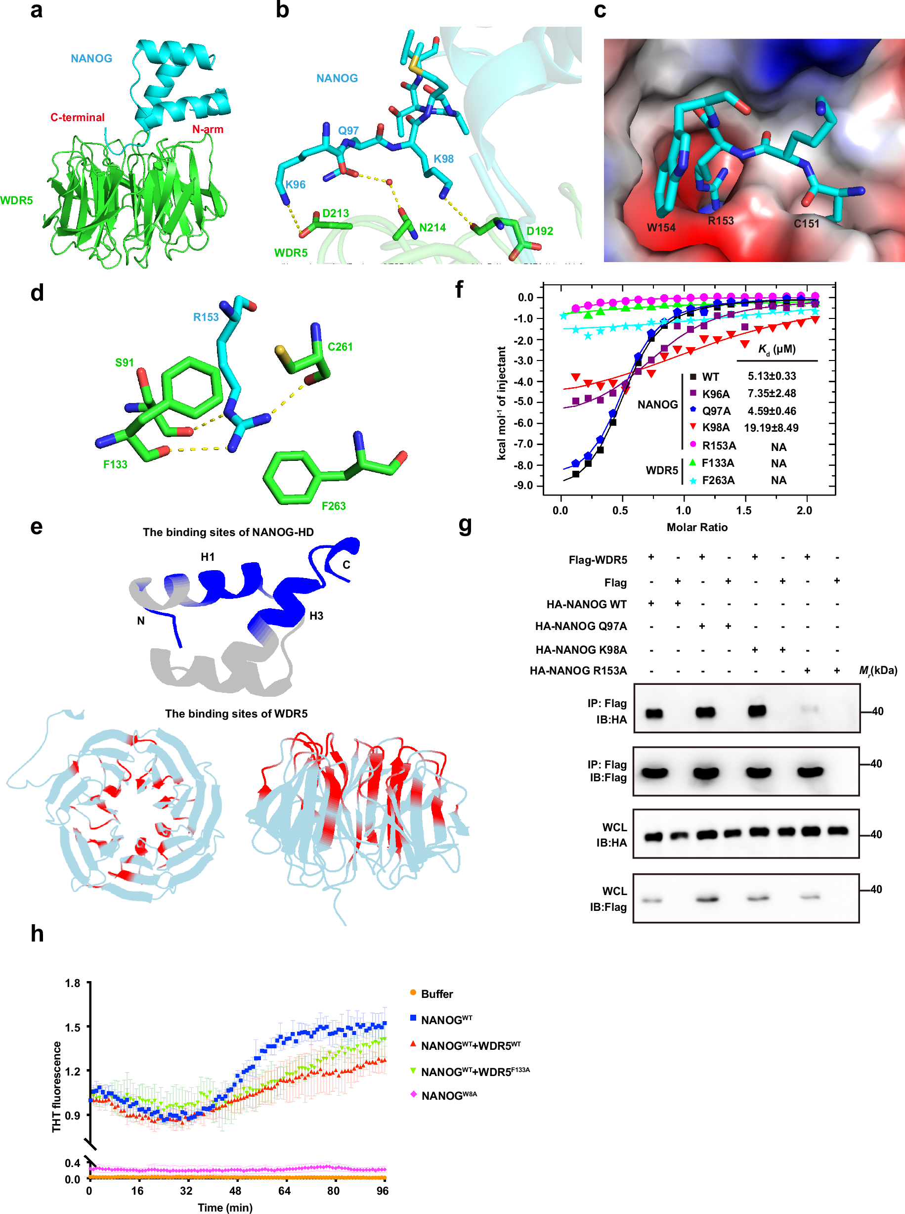 Fig. 3: Structural and biochemical characterization of the WDR5–NANOG HD interaction.