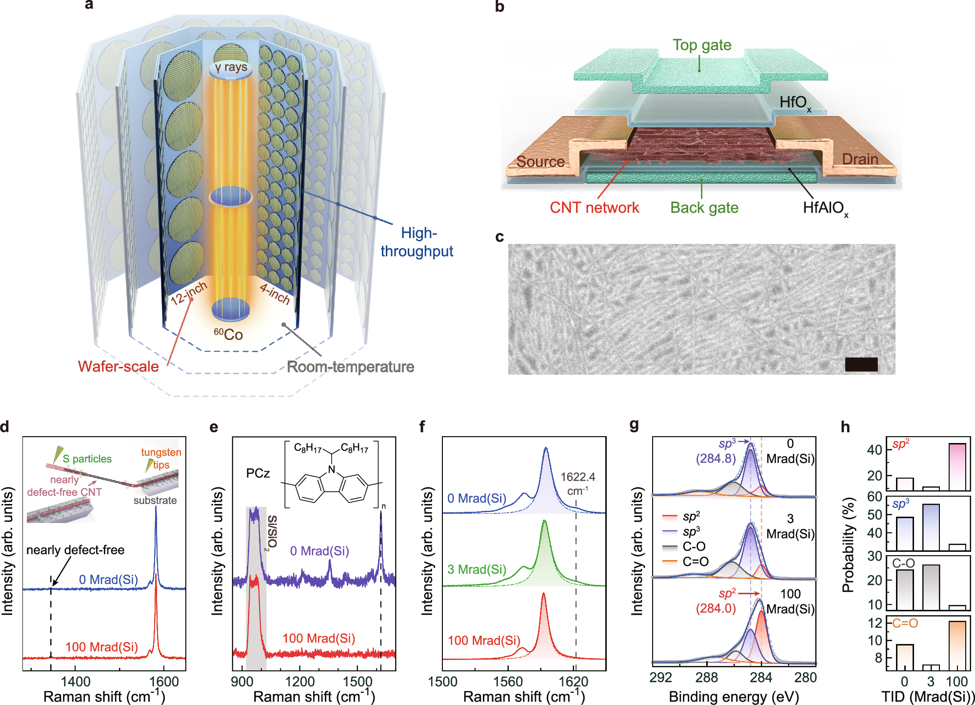 Fig. 1: A foundry-compatible strategy for enhancing the performance of carbon nanotube field-effect transistors (CNTFETs) through γ-ray irradition.