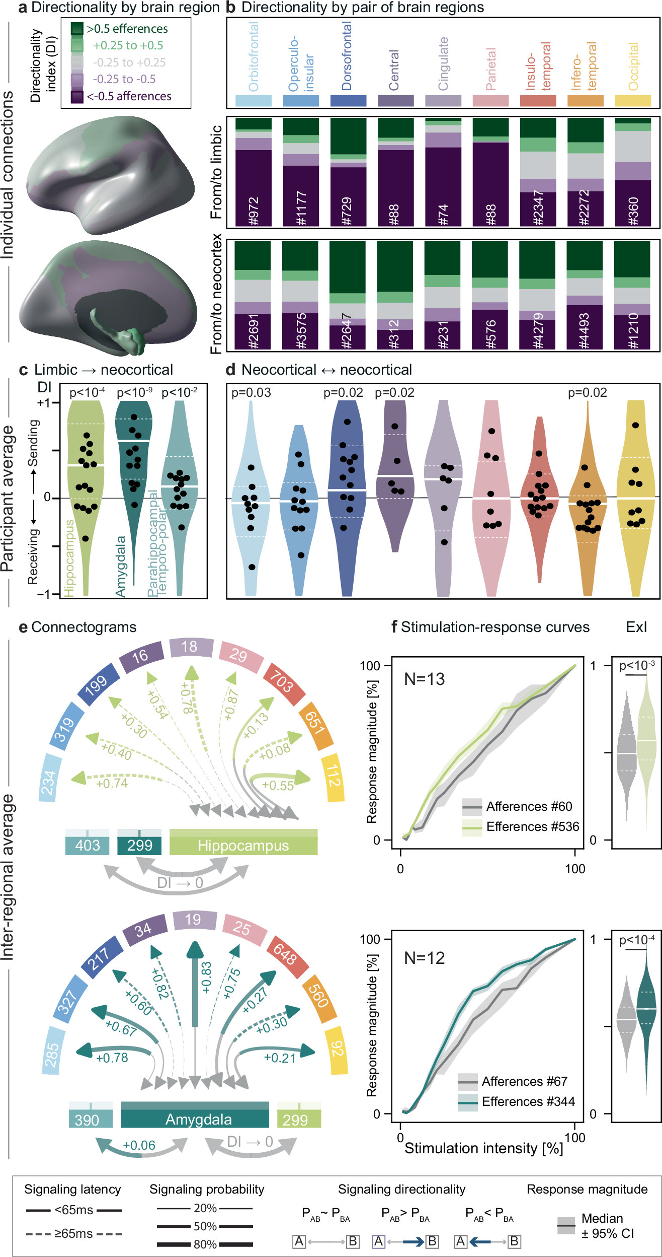 Fig. 3: Cortico-limbic signaling.