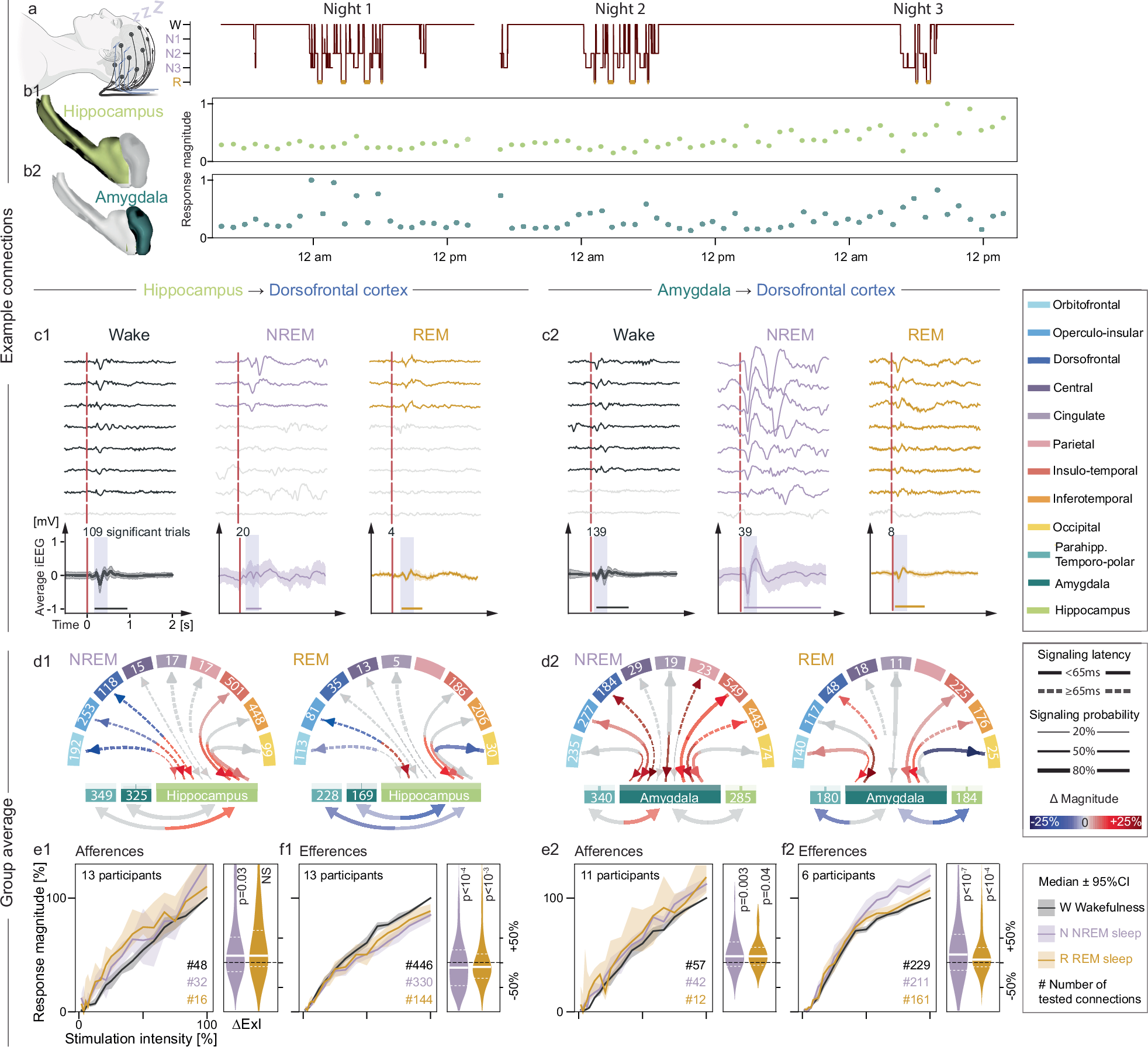 Fig. 4: Cortico-limbic signaling during sleep and wakefulness.