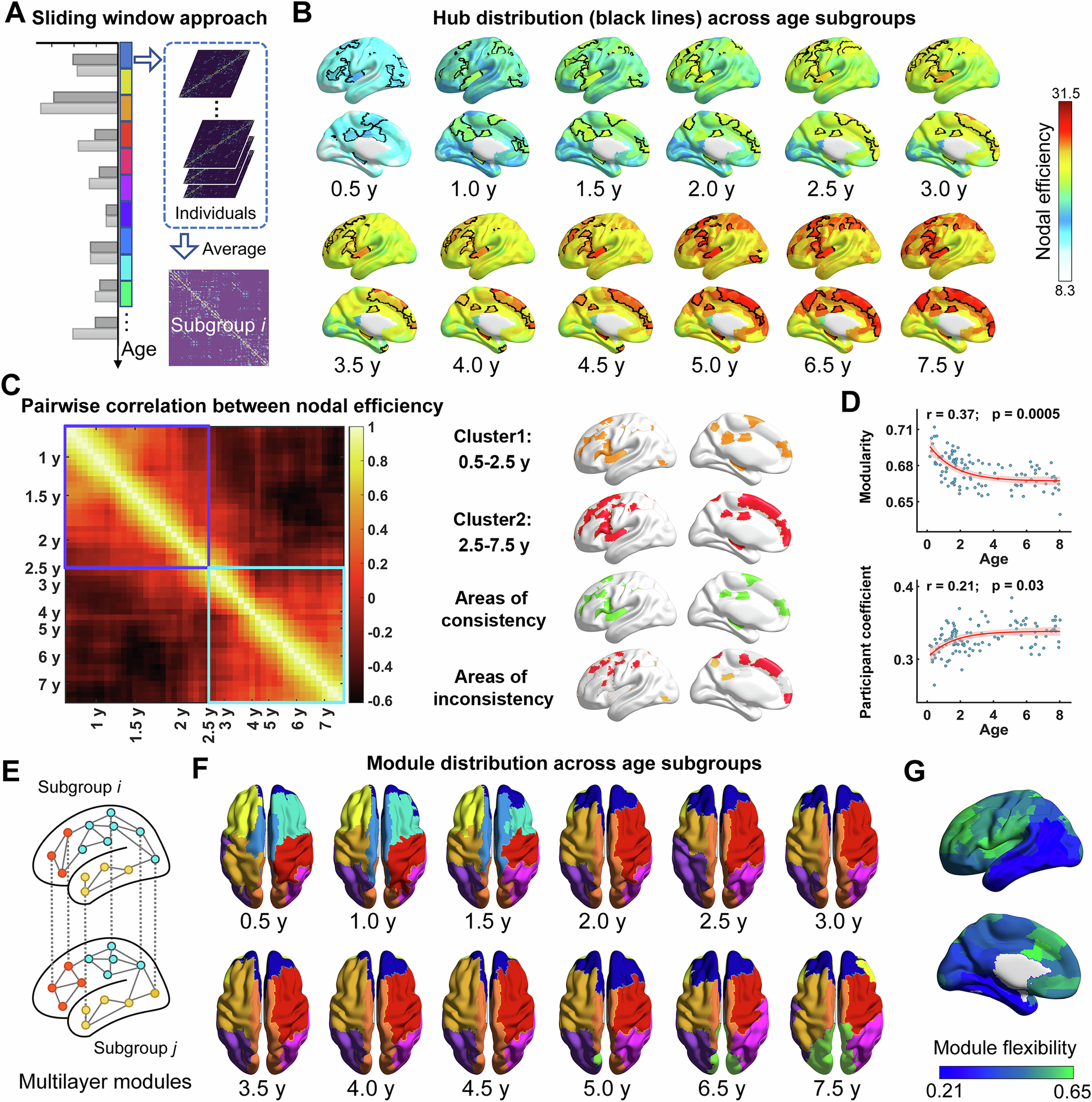 Fig. 3: Development of the structural hubs and modules from birth to childhood.