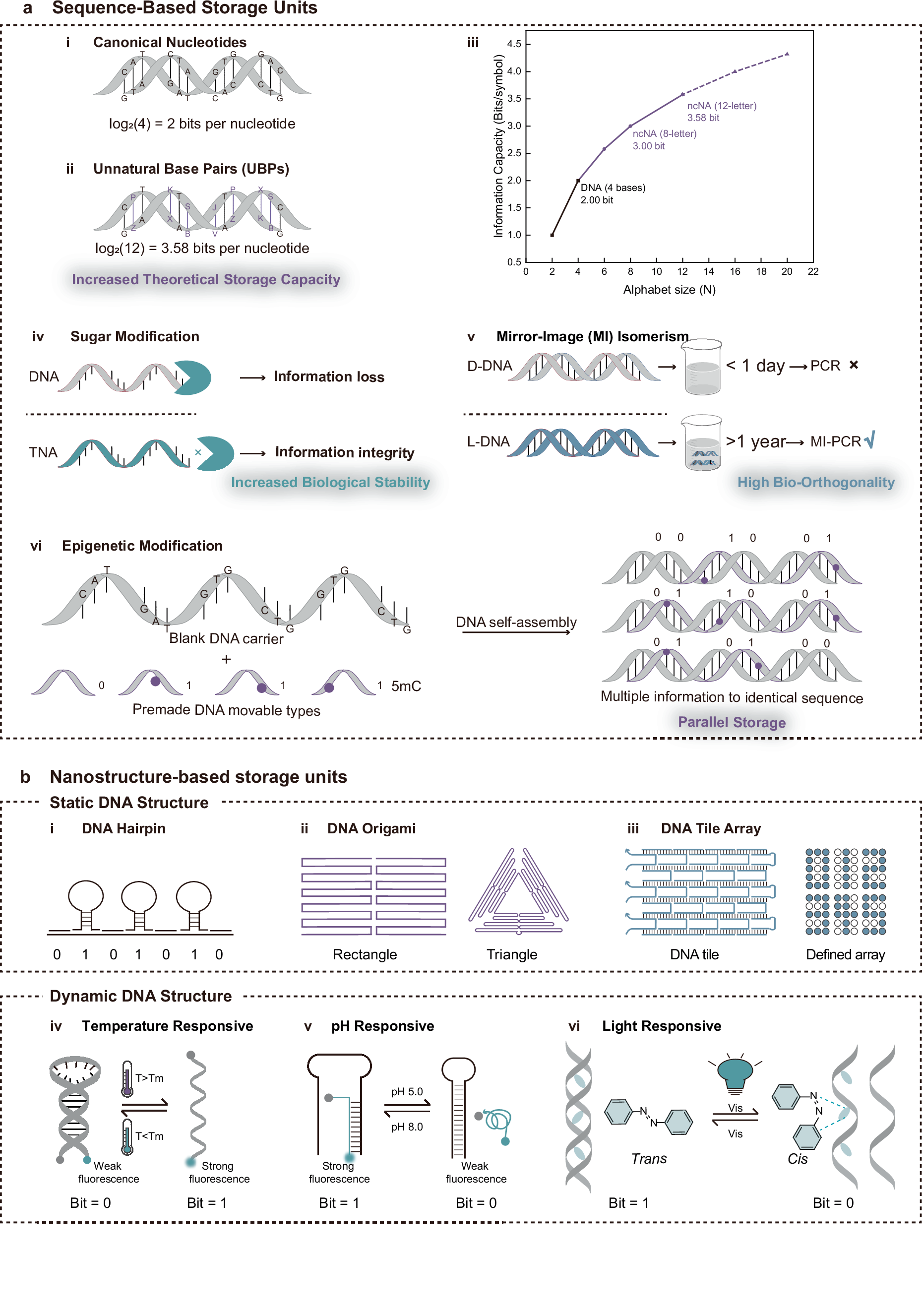 Fig. 2: Nucleic acid-based storage units.