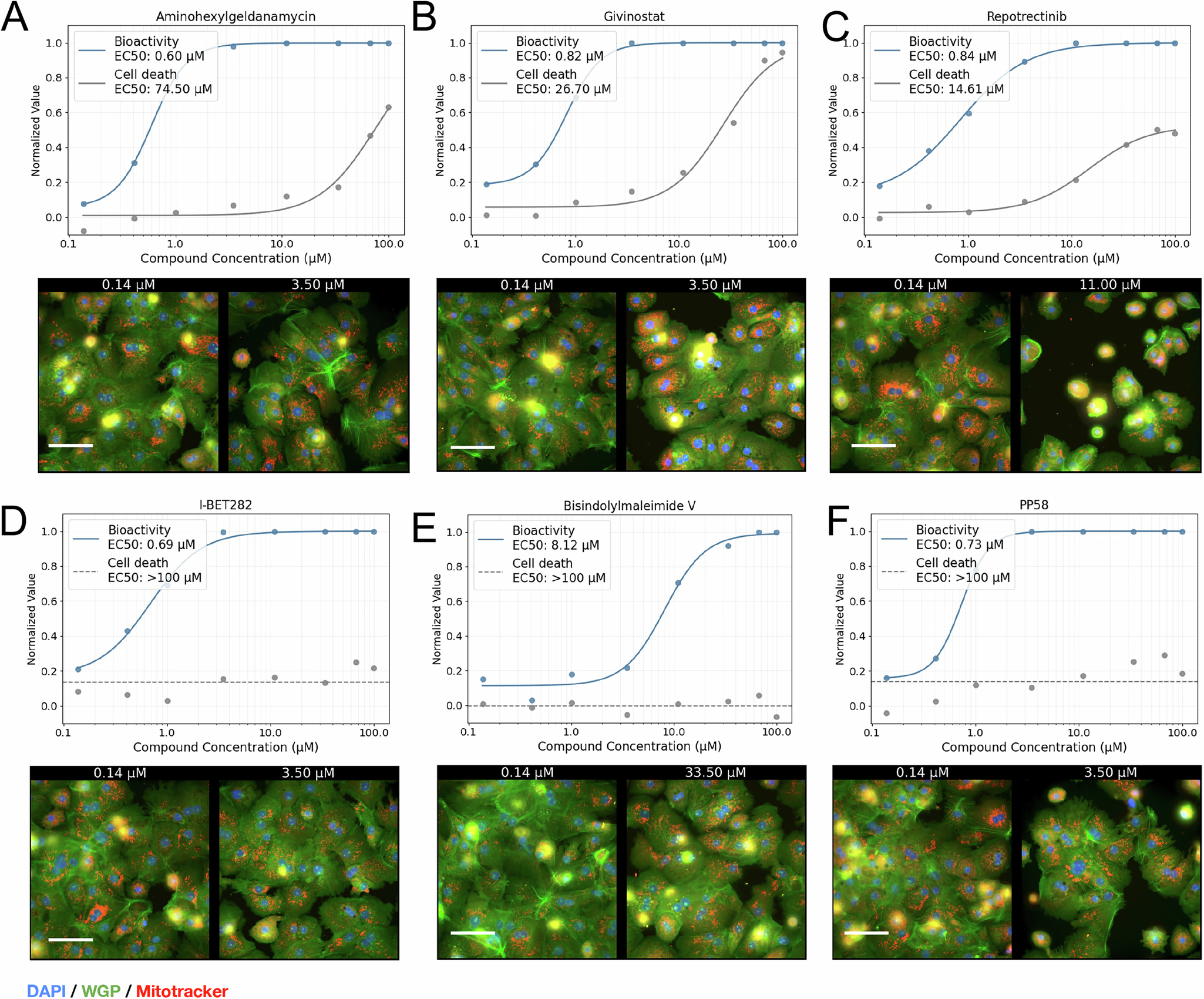 Fig. 6: Image-based bioactivity screen with a viability screen for cytotoxicity.