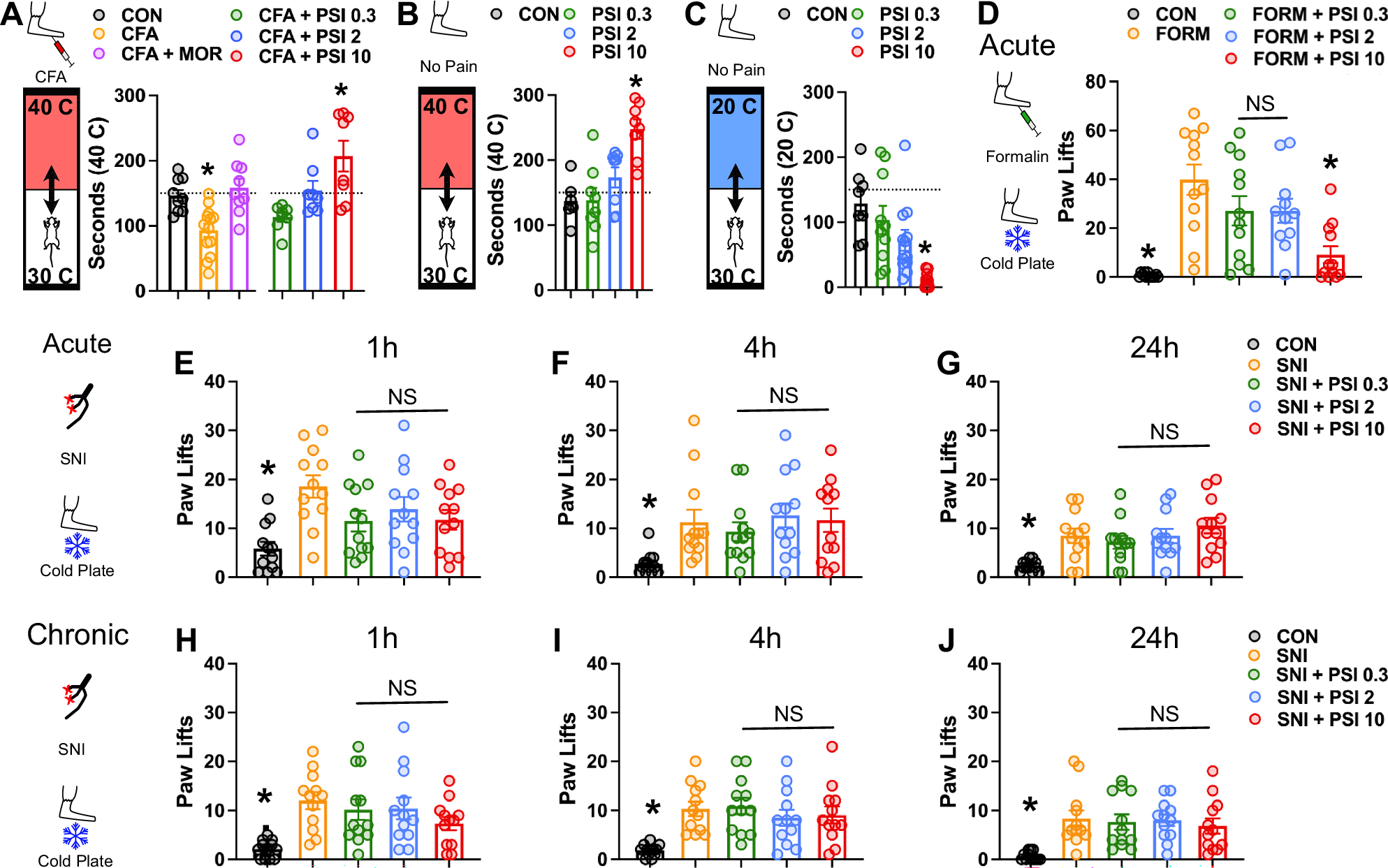 Fig. 3: Effects of psilocybin on temperature preference and cold hypersensitivity.