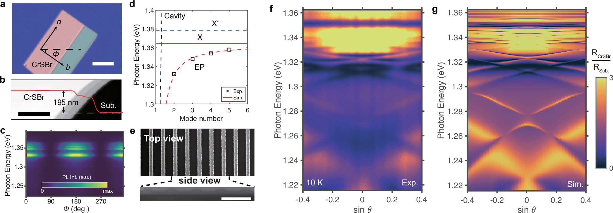 Fig. 2: Fabrication and characterization of the CrSBr metasurface.