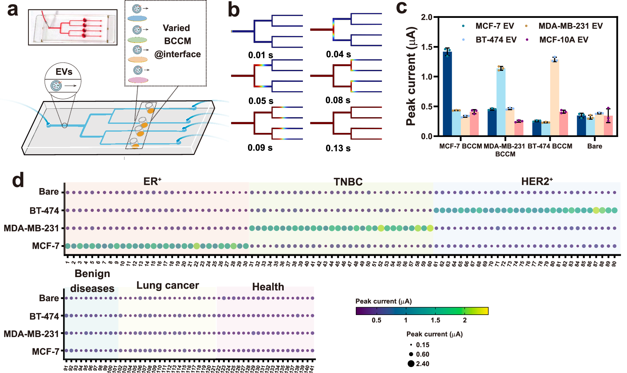 Fig. 6: Homotypic membrane-powered microfluidic analysis of breast cancer EVs.