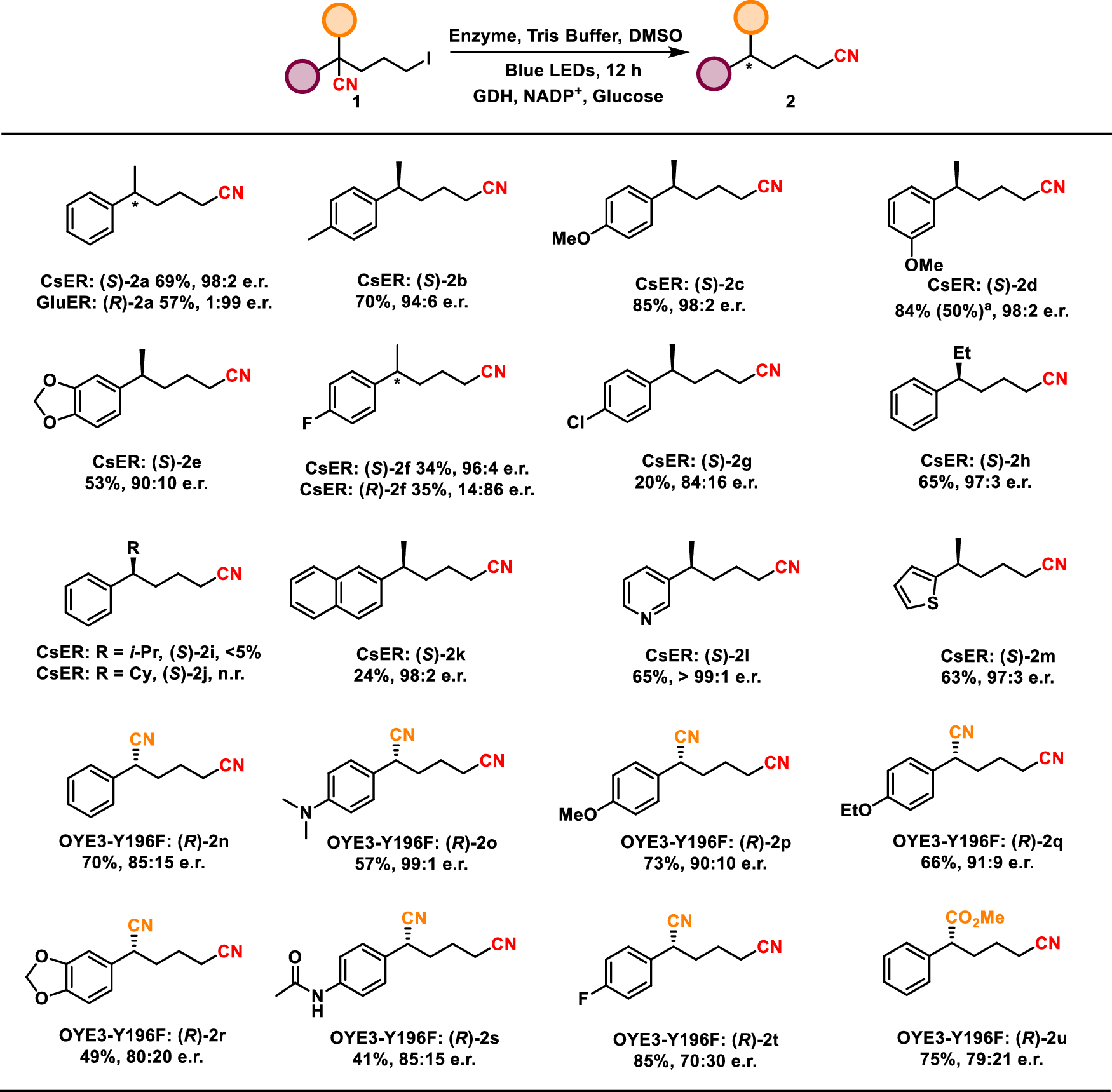 Fig. 2: Substrate scope of the photoenzymatic enantioselective CN translocation reaction.