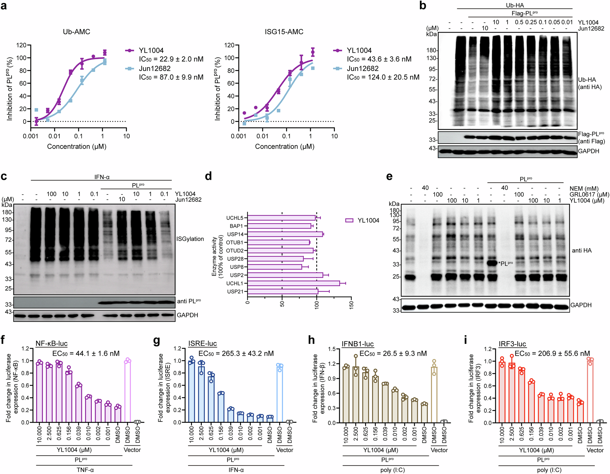 Fig. 3: YL1004 inhibits PLpro deubiquitinating and deISGylating activities.