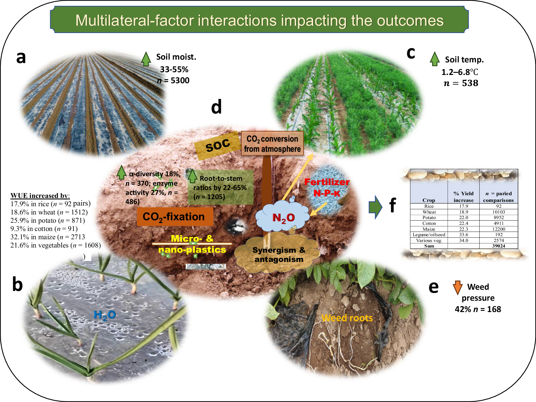 Fig. 4: Key mechanisms of plastic mulch benefits.
