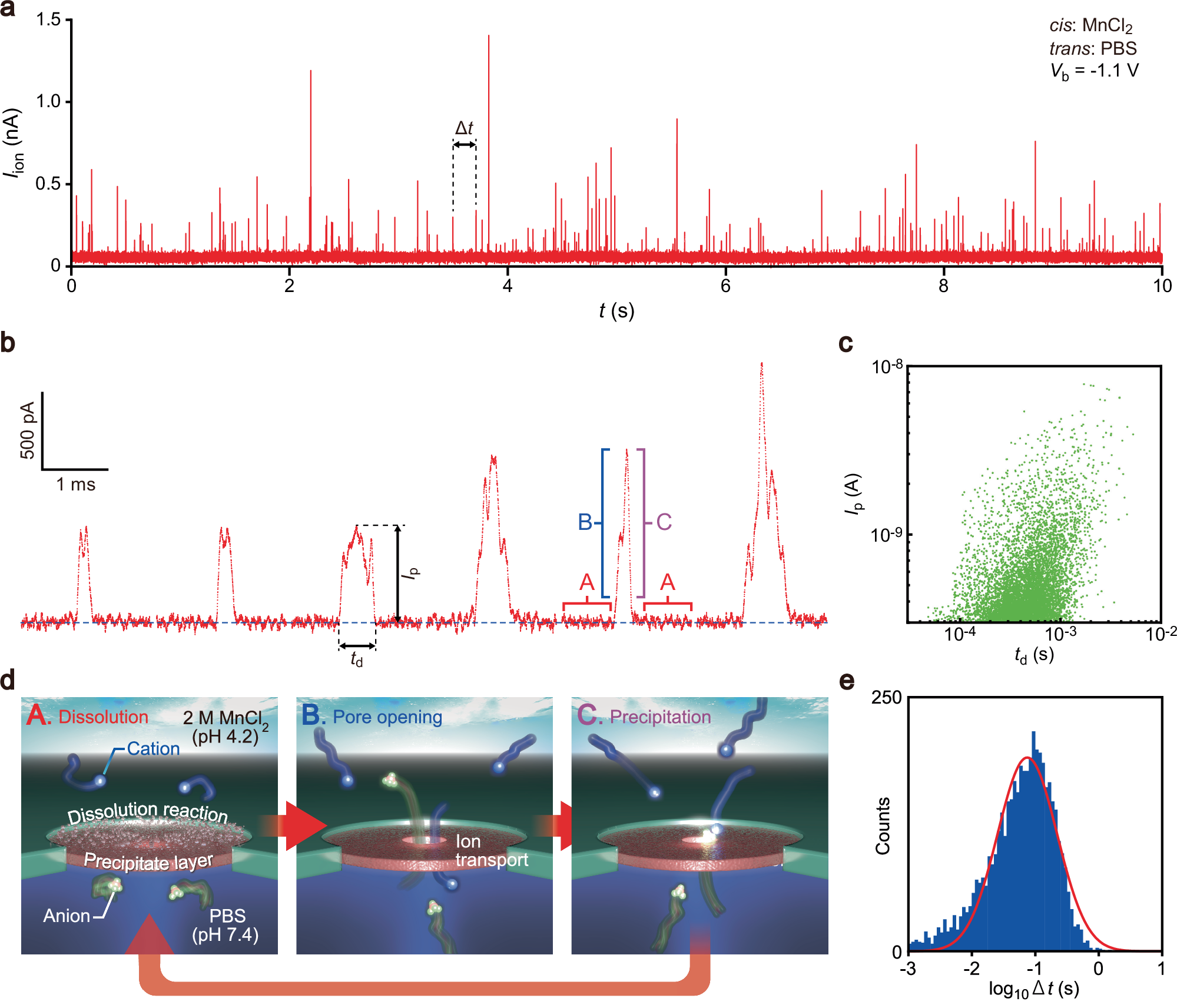 Fig. 2: Breathing mode of voltage-gated nanopores.
