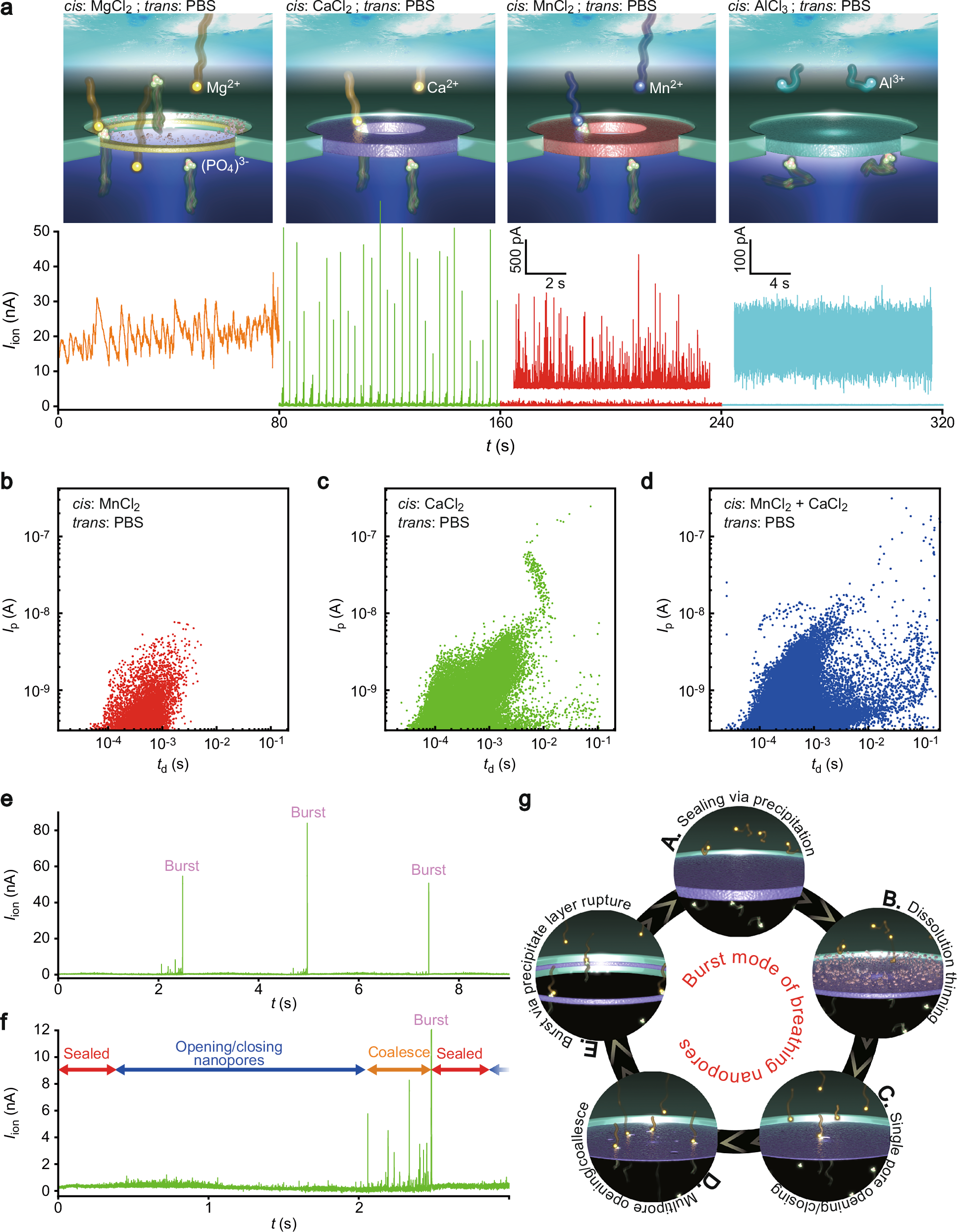 Fig. 3: Salt dependence of in-pore chemistry.