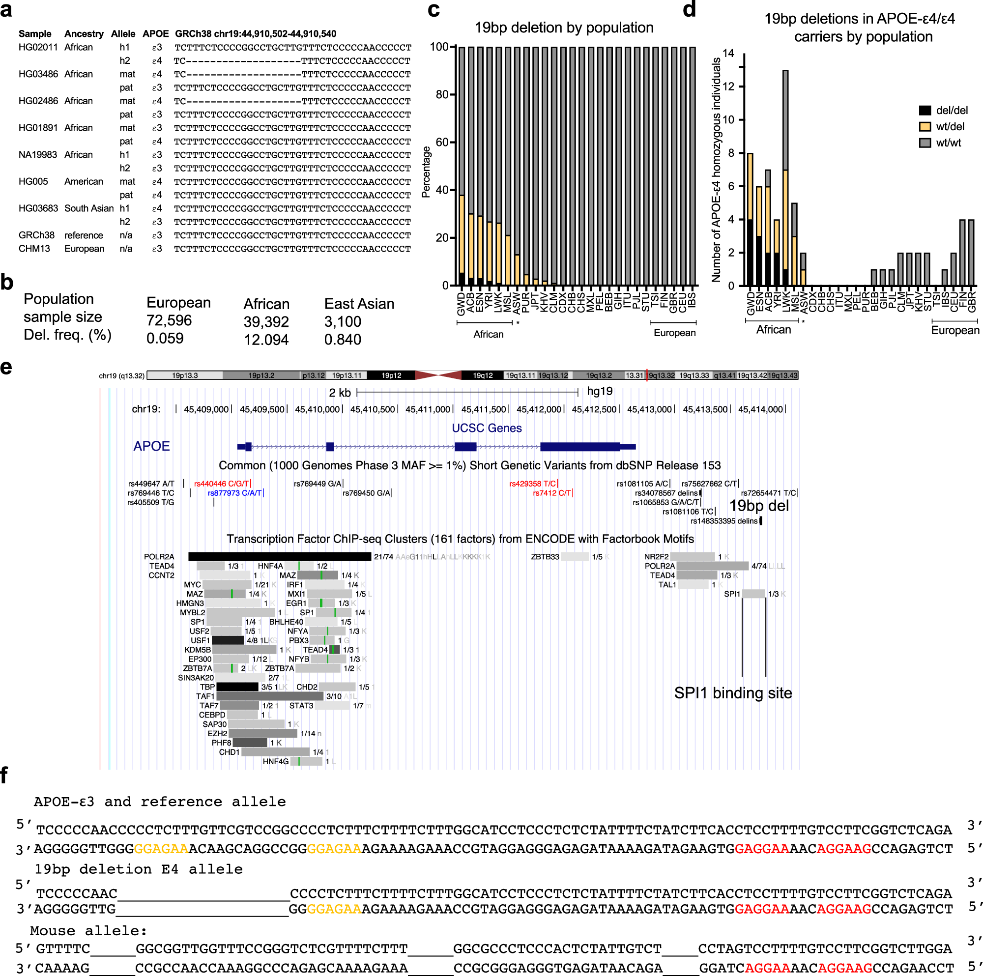 Fig. 1: A 19 bp deletion is common in African APOE-ε4 Alleles.