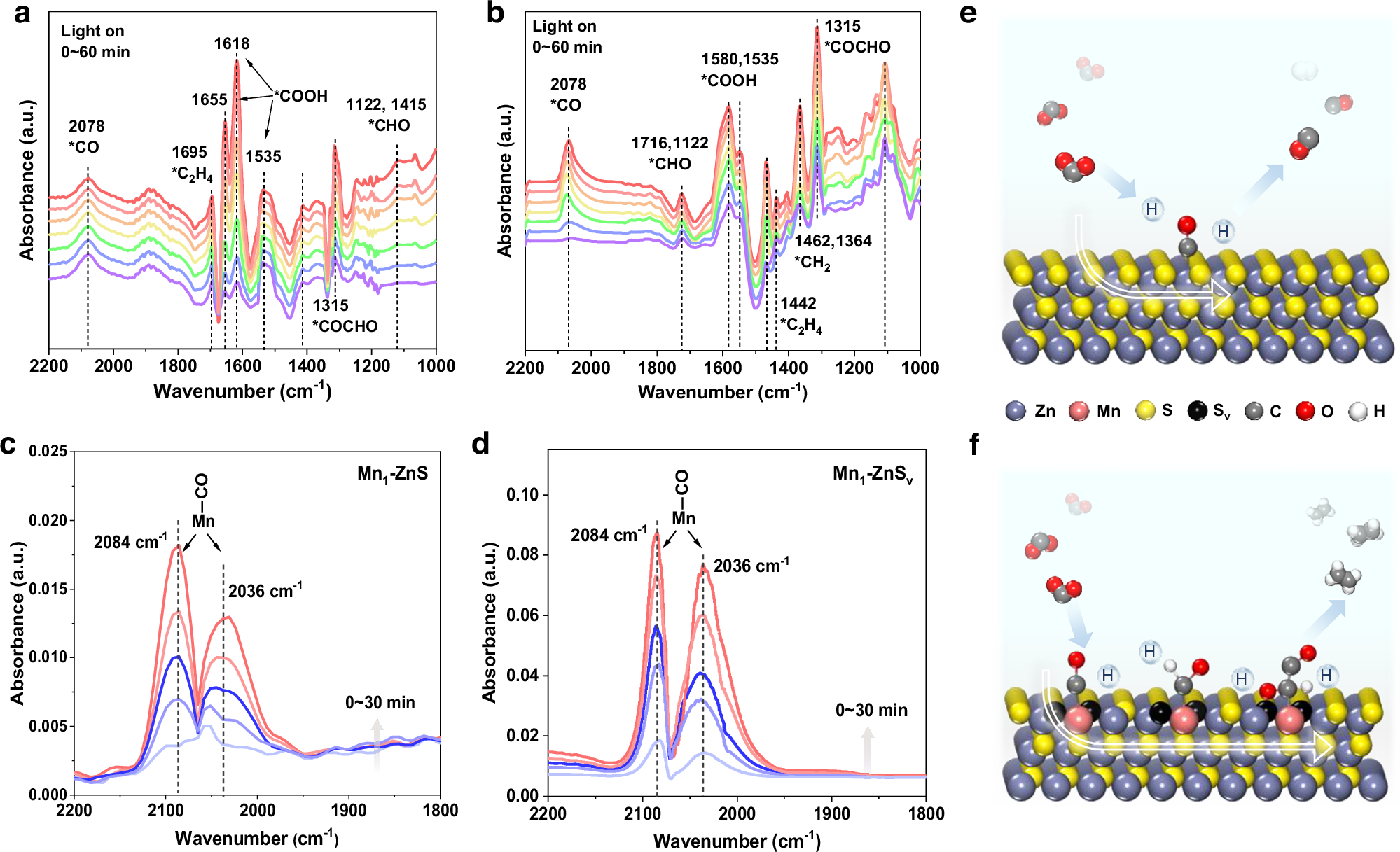 Fig. 4: In situ spectra analysis.