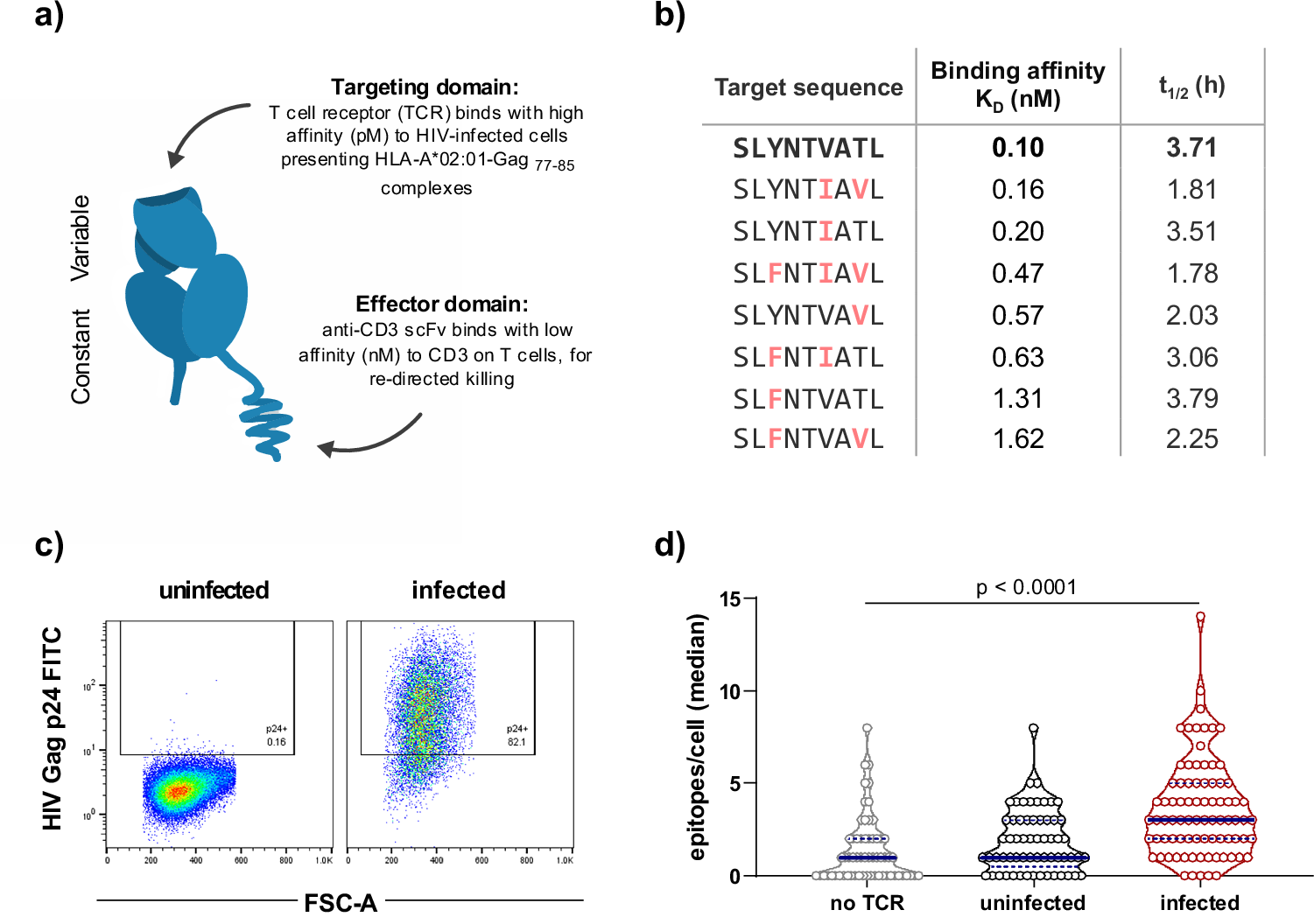 Fig. 1: IMC-M113V is active against prevalent variants of Gag77–85.