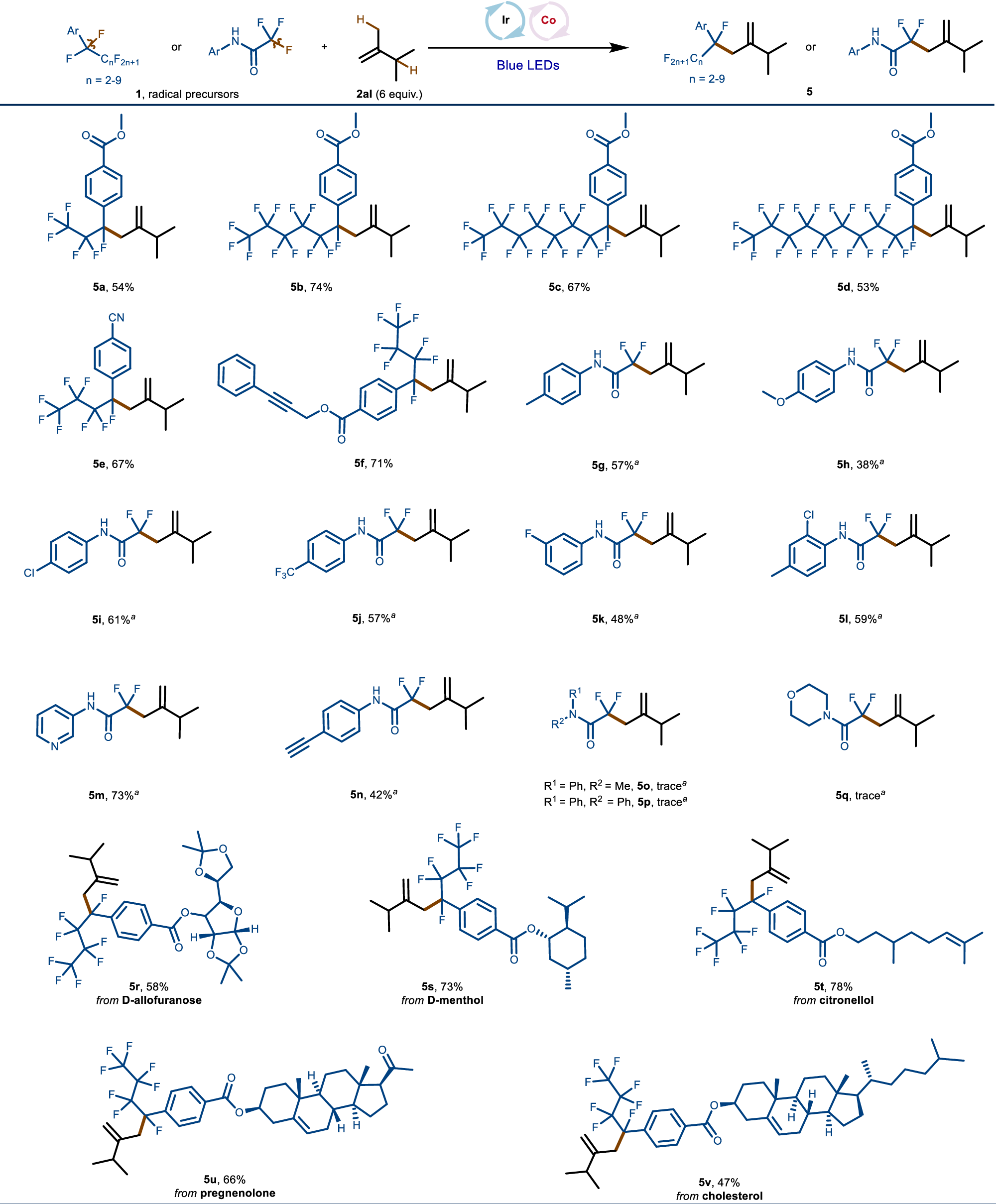 Fig. 3: Scope of perfluoroalkylarenes and polyfluorinated aliphatic amides for allylic fluoroalkylation.