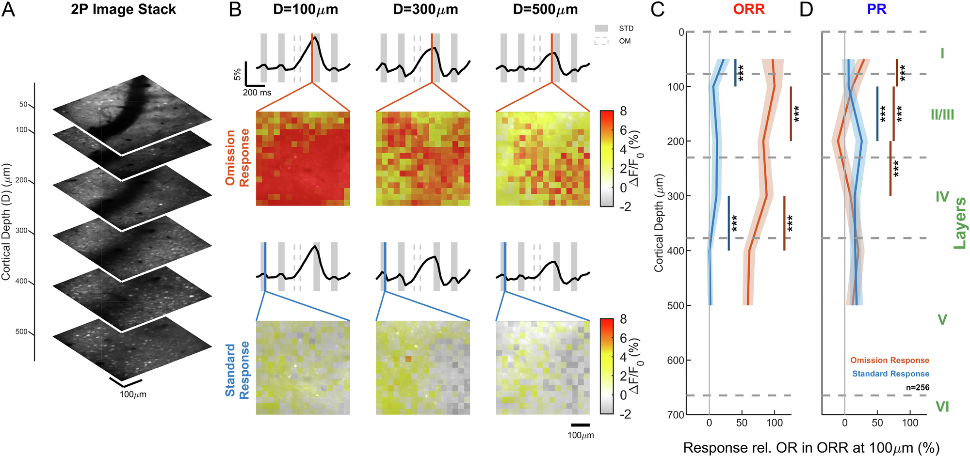 Fig. 3: Omission responses are most prominent in superficial layers of the omission response region.