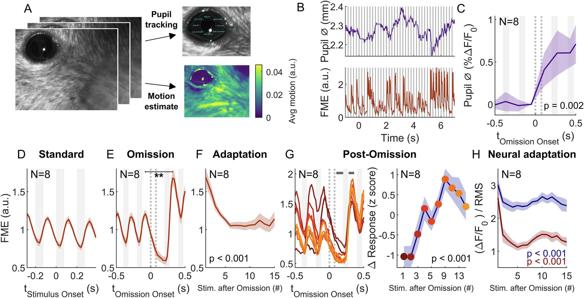 Fig. 4: Pupil dilation and brief facial movements are indicative of sequence statistics.