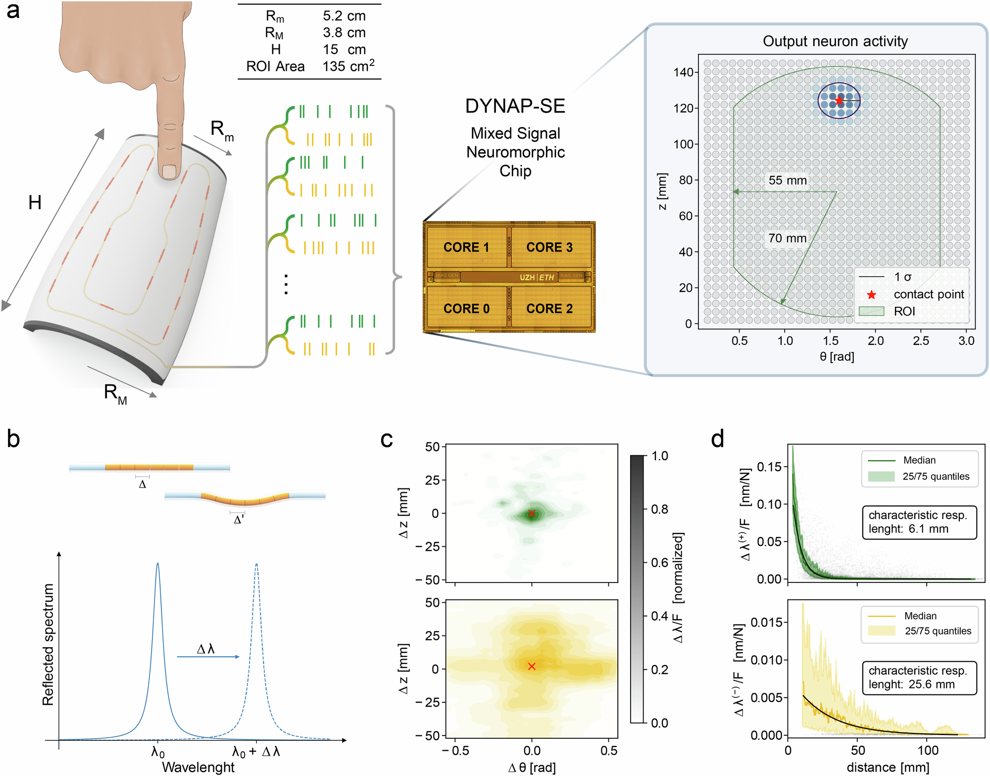 Fig. 1: Representation of the e-skin and of the neuromorphic processing of tactile stimuli.