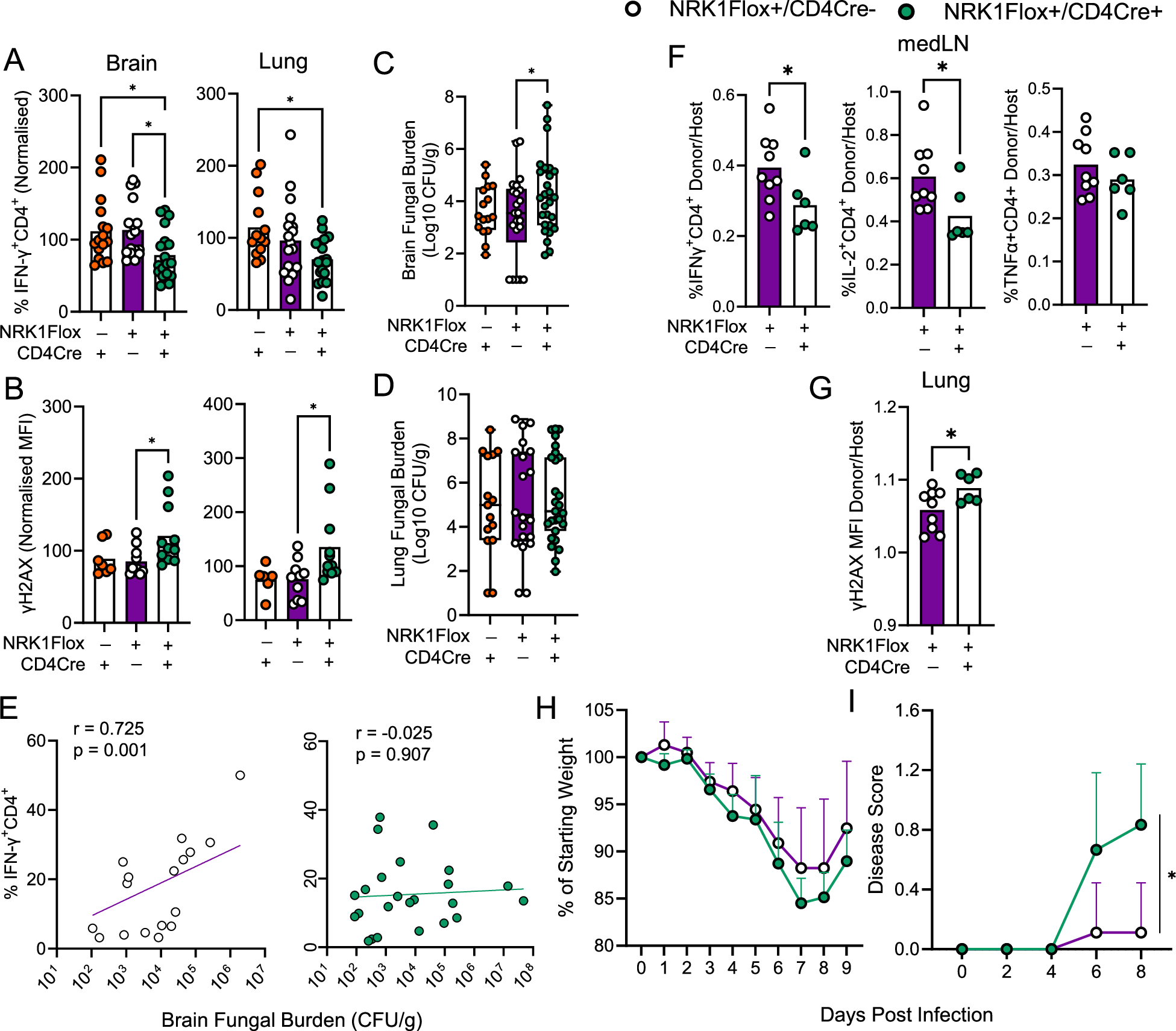 Fig. 8: NRK1 activity is required to maintain effector CD4+ T cell frequencies and control pathogen burden in vivo during infection.