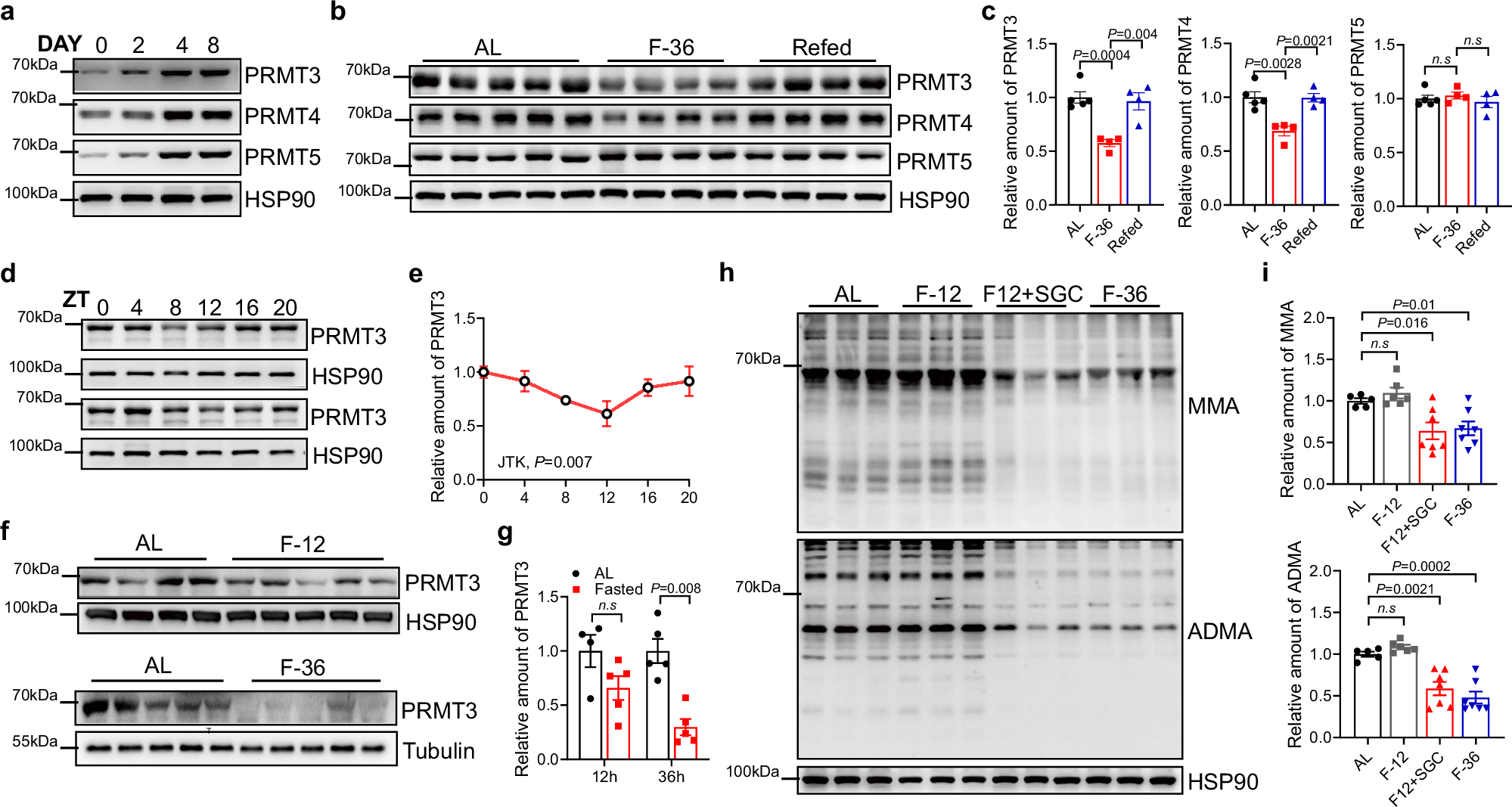 Fig. 2: PRMT3 regulates adipose ADMA during feeding in an insulin-pAKT-dependent manner.