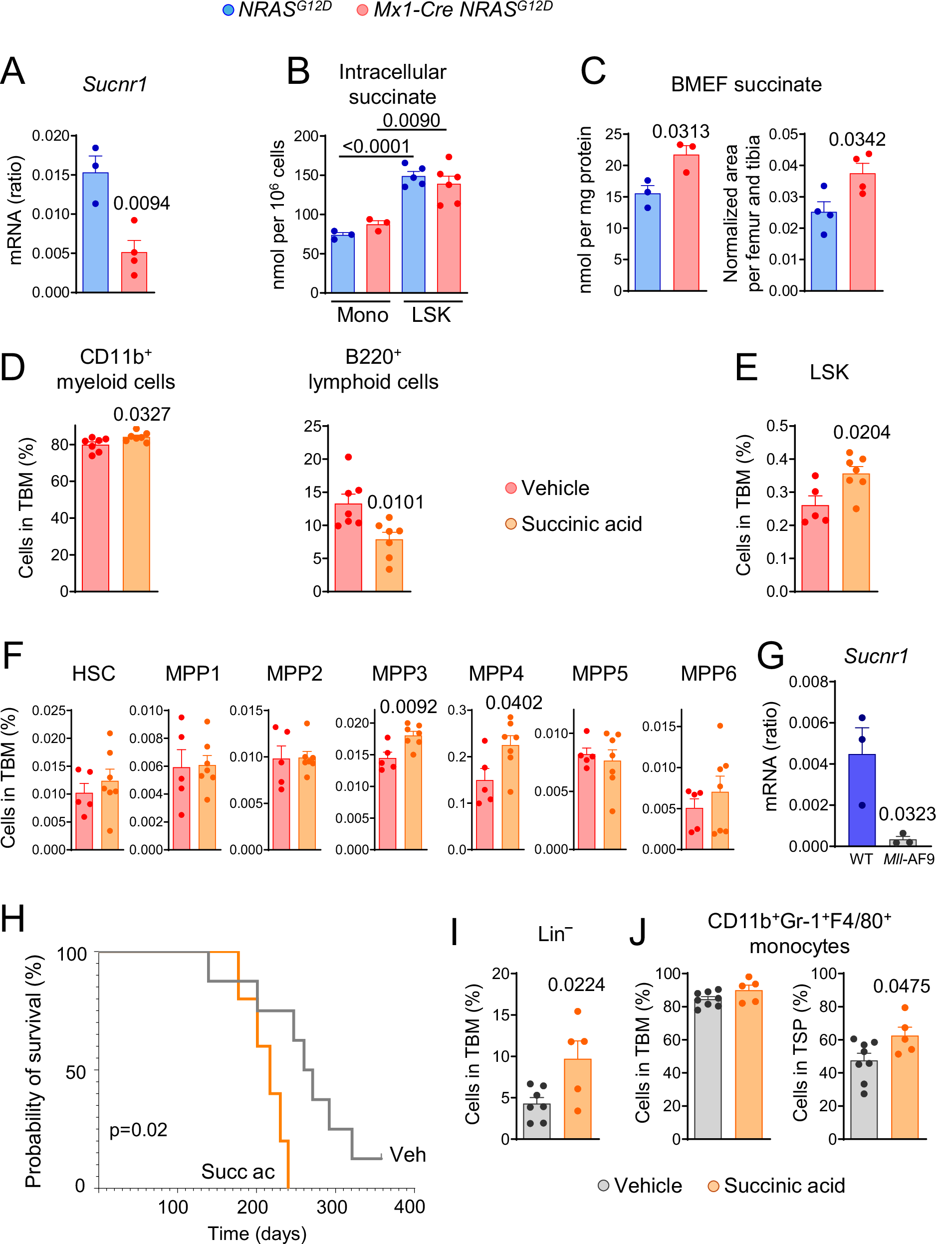 Fig. 2: Succinate promotes acute myeloid leukemia progression in mouse models with low SUCNR1 expression.