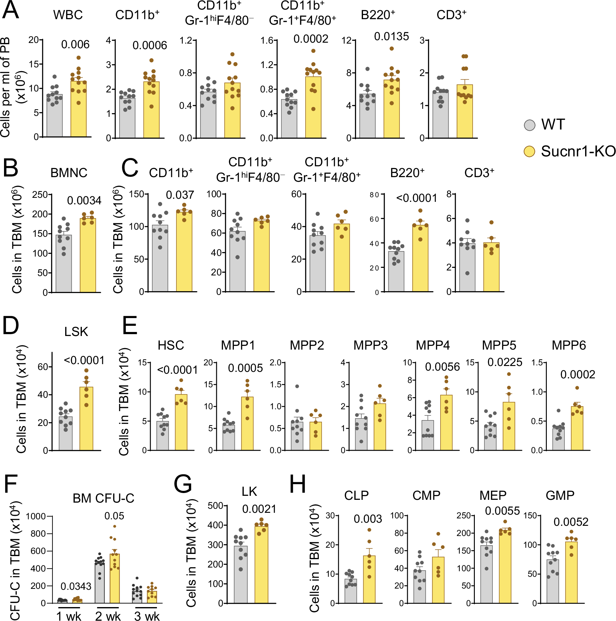 Fig. 3: Sucnr1 restricts HSPC and hematopoiesis under steady-state.