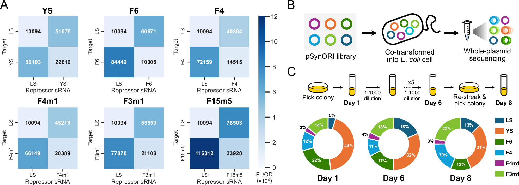 Fig. 5: A library of compatible pSynORI.