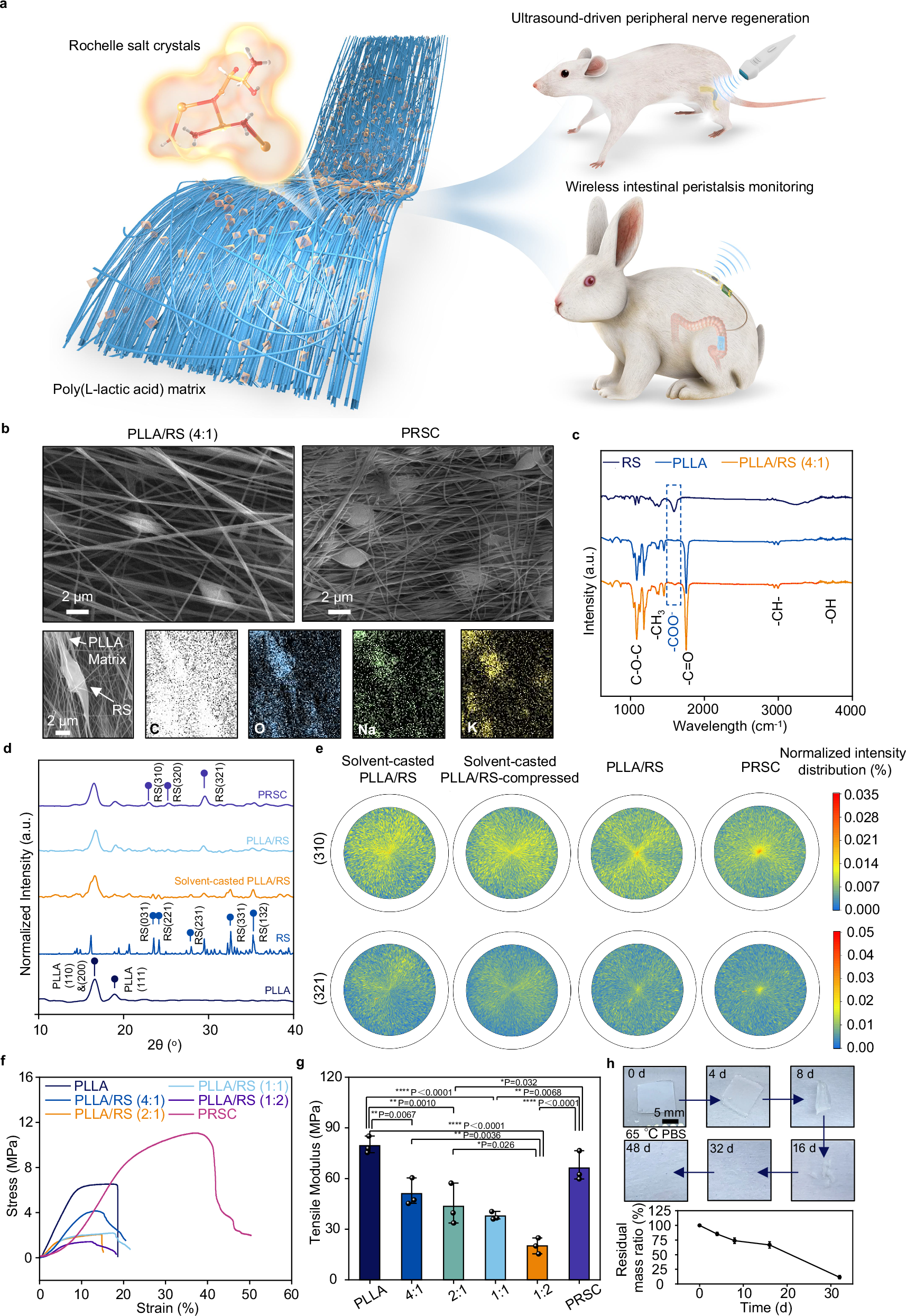 Fig. 1: Fully biodegradable and flexible piezoelectric nanofibers based on Rochelle salt (RS) and poly (L-lactic acid) (PLLA).
