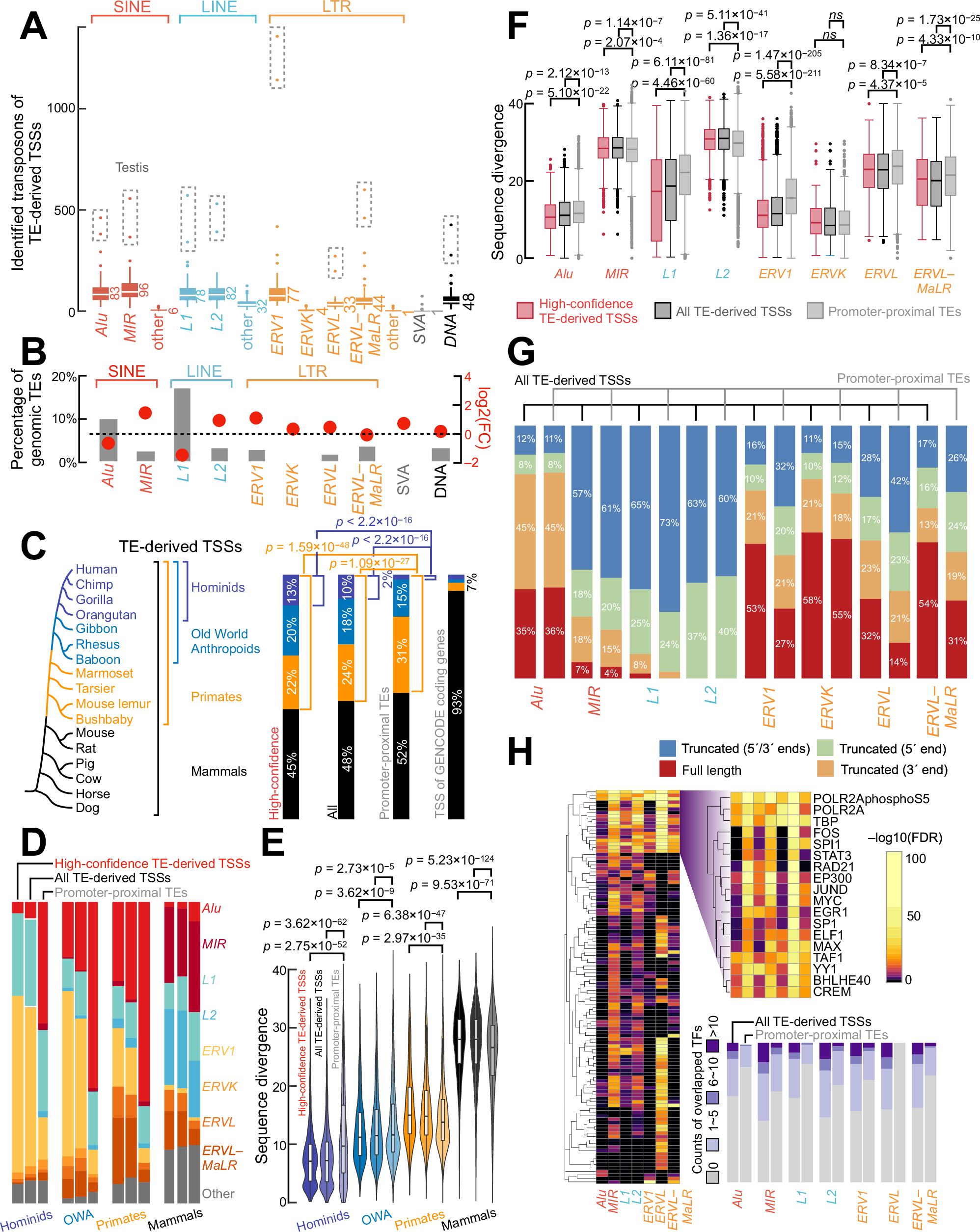 Fig. 3: TE-derived TSSs arise from specific TE families with different evolutionary ages.