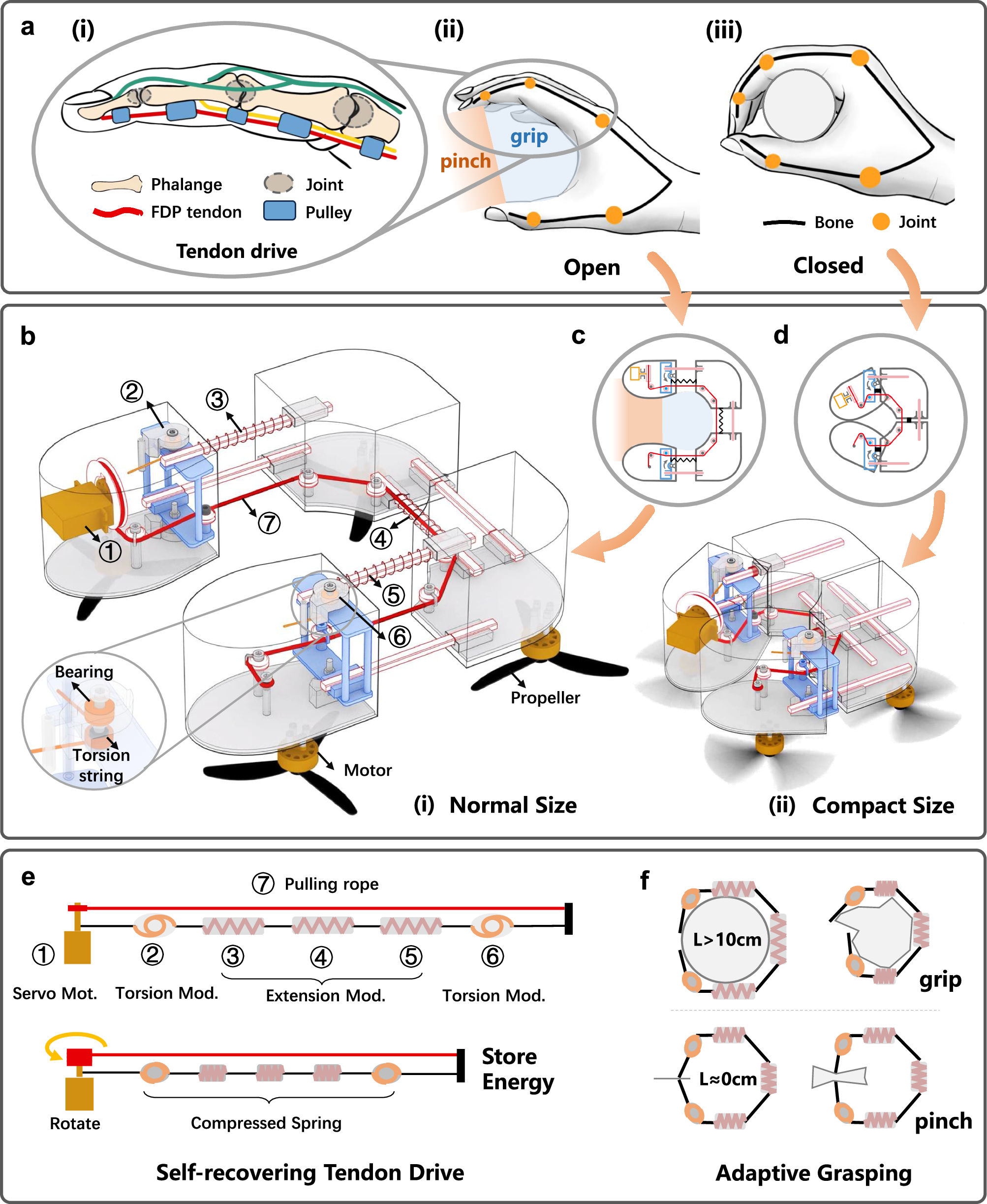 Fig. 3: Hand-like mechanical design.