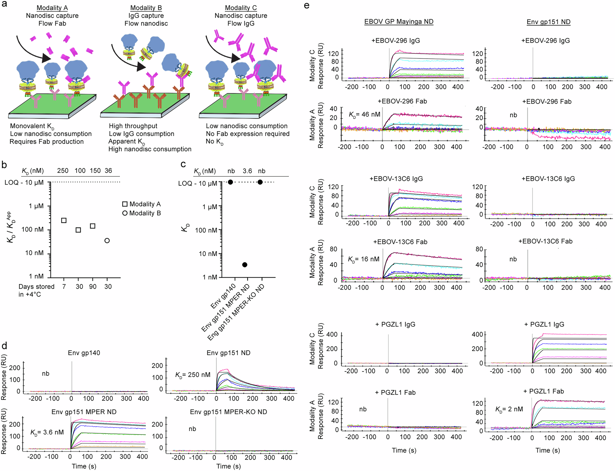 Fig. 3: Different SPR modalities and kinetic analyses of GP nanodiscs assembled with DOPC lipids.