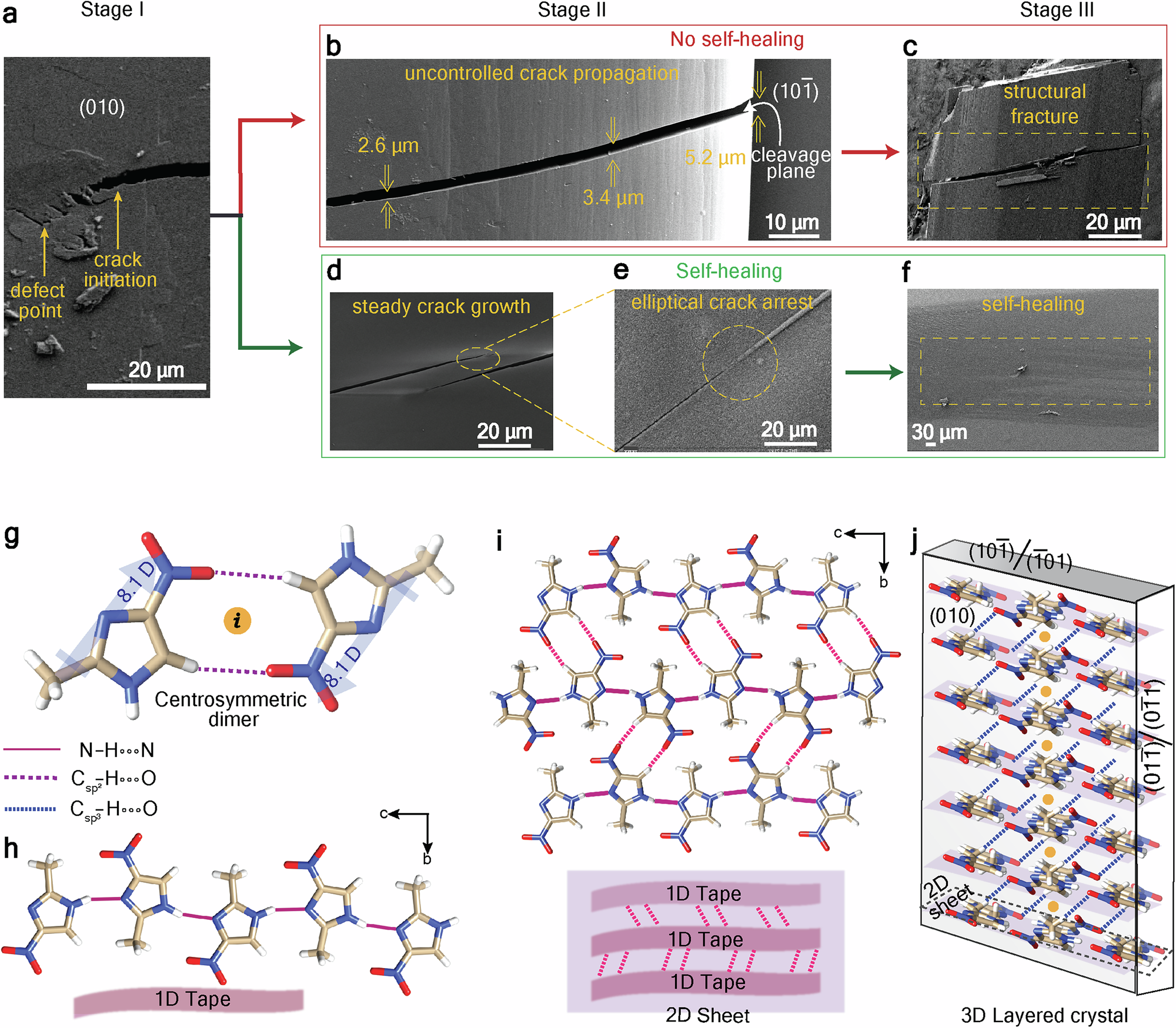 Fig. 2: Correlation of fracture mechanics with underlying microstructure in MNI crystals.