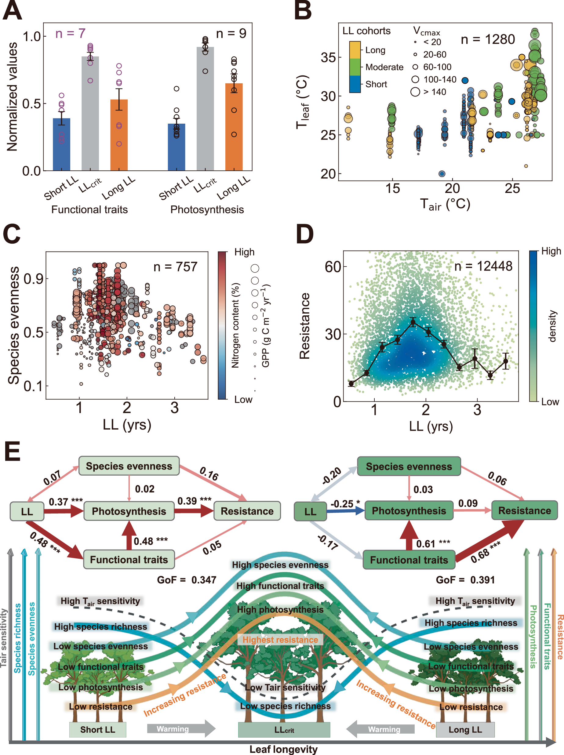 Fig. 3: Associations of leaf longevity (LL) with plant functional traits, photosynthesis, diversity, and resistance across pantropical moist forests.