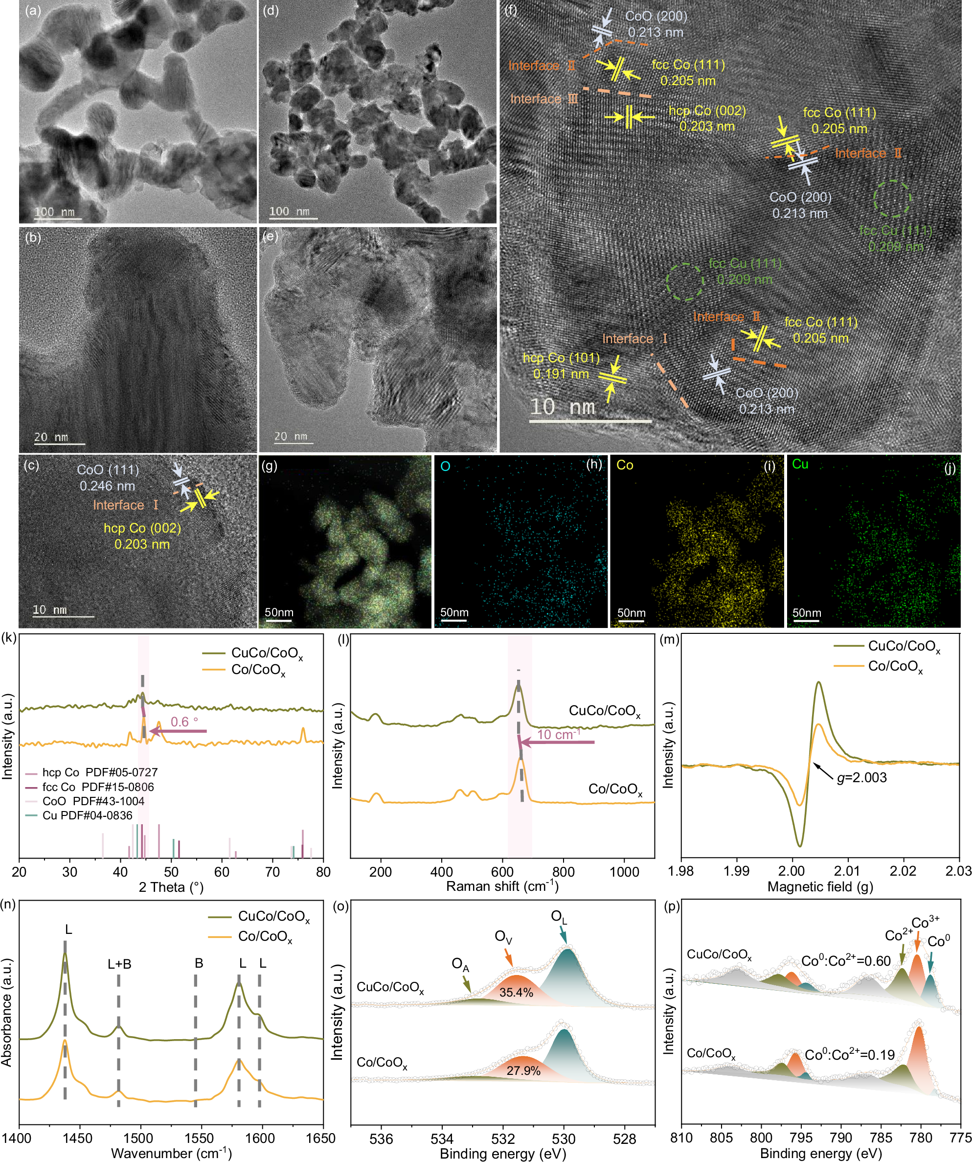Fig. 3: Catalyst characterization.