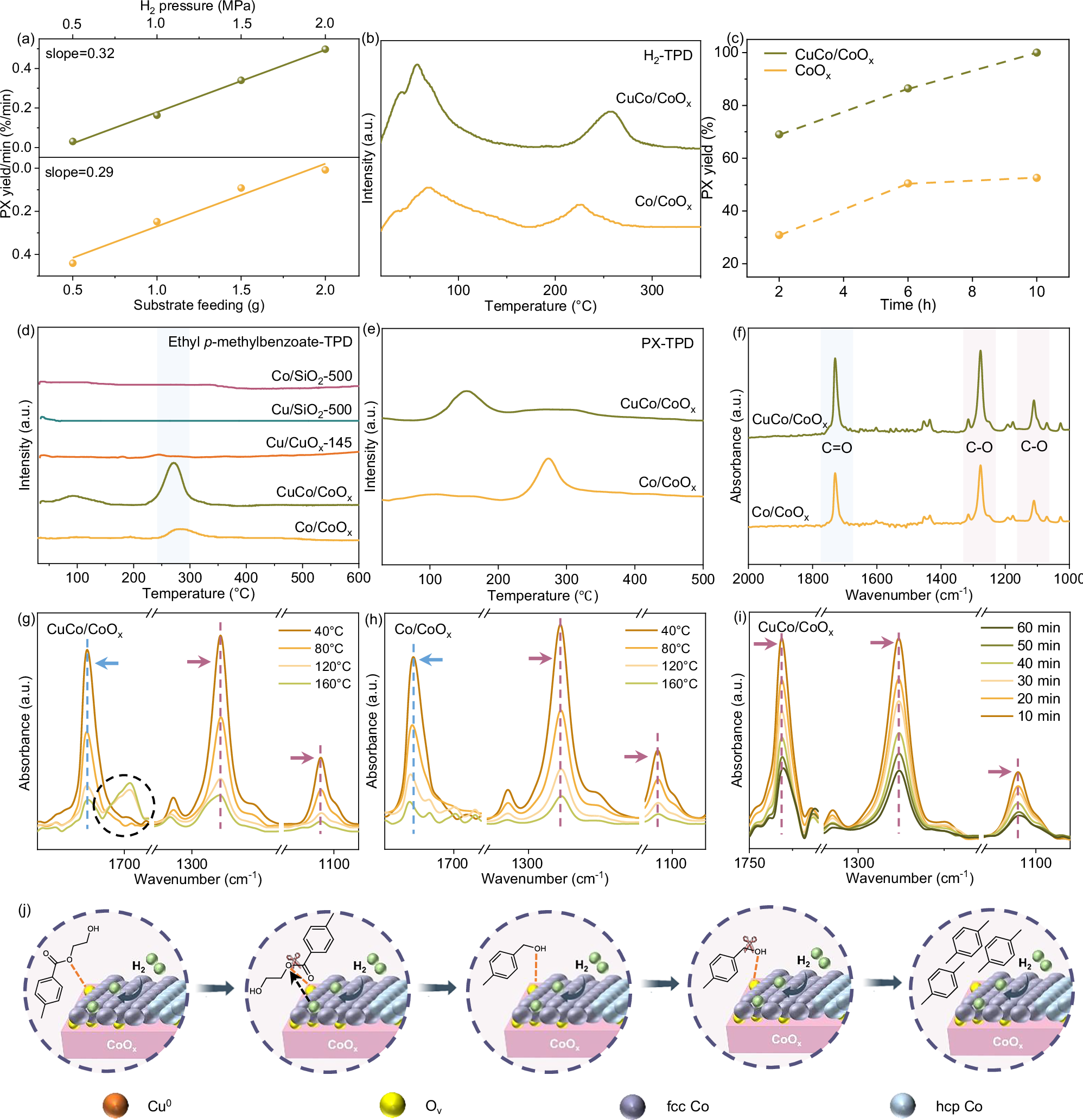 Fig. 5: Catalytic mechanism.