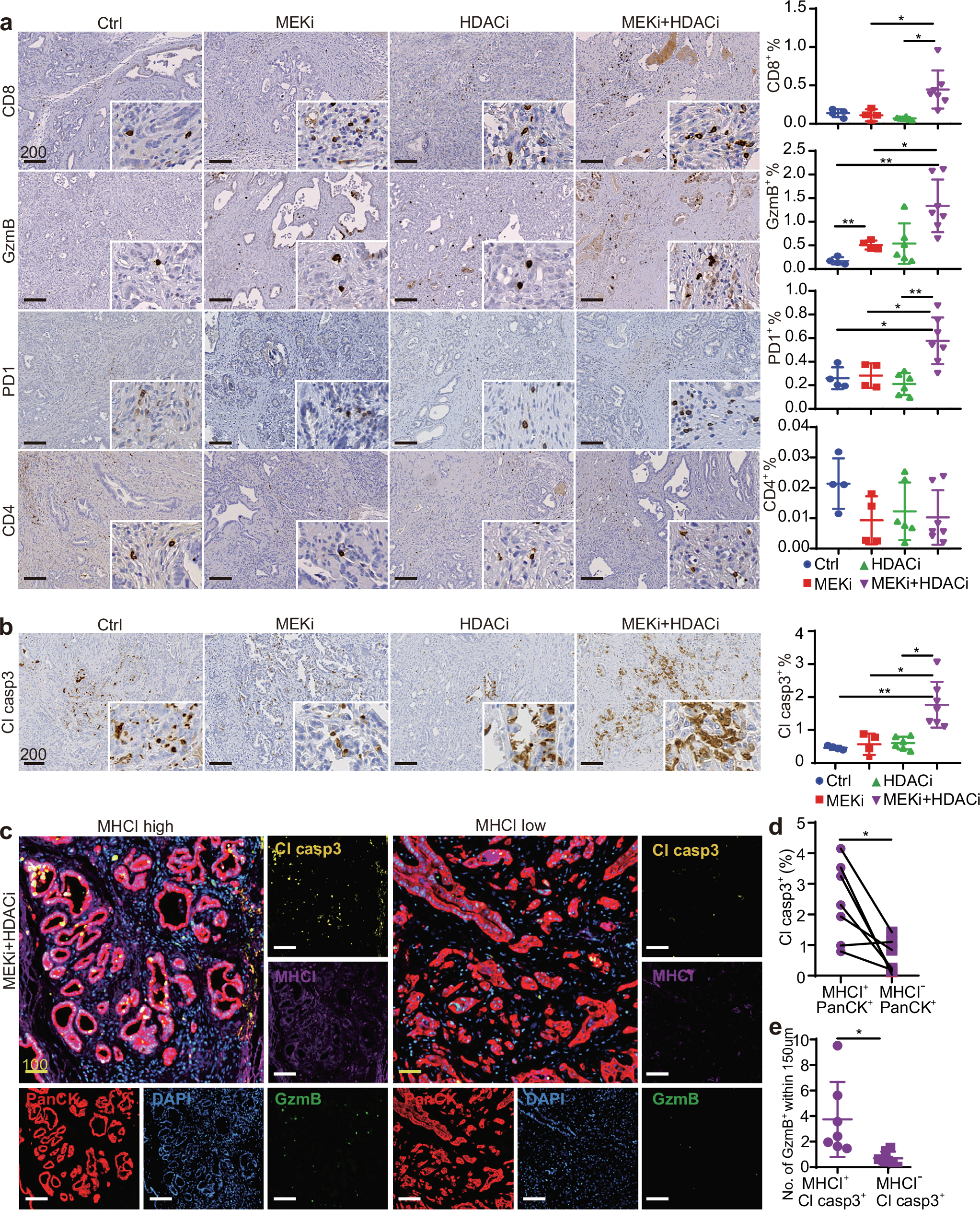 Fig. 7: Combined MEKi and HDACi treatment enhances cytotoxic T cell infiltration and tumor apoptosis in vivo.