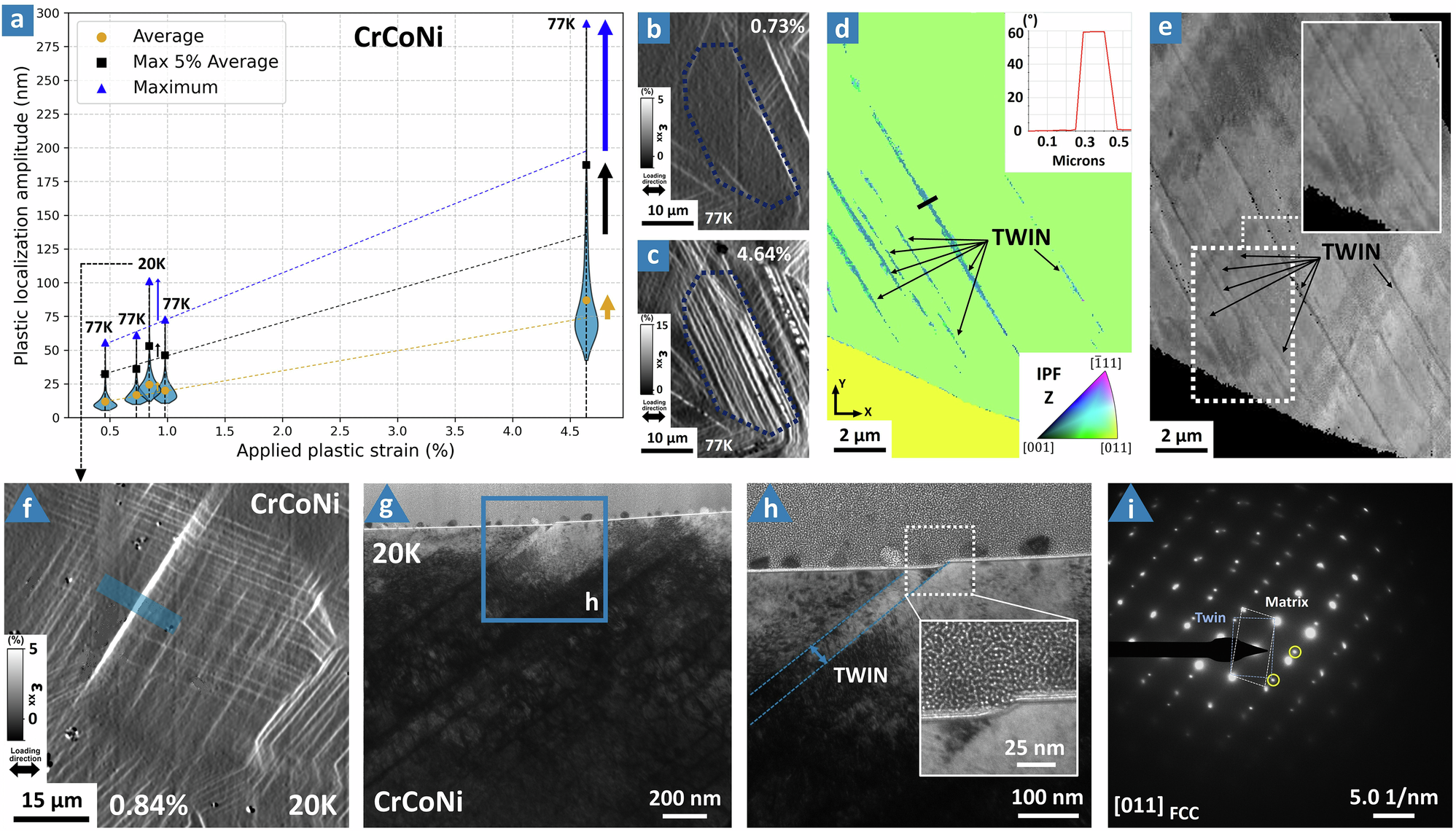 Fig. 8: Effect of high deformation and lower stacking fault energy promoting intense plastic localization.