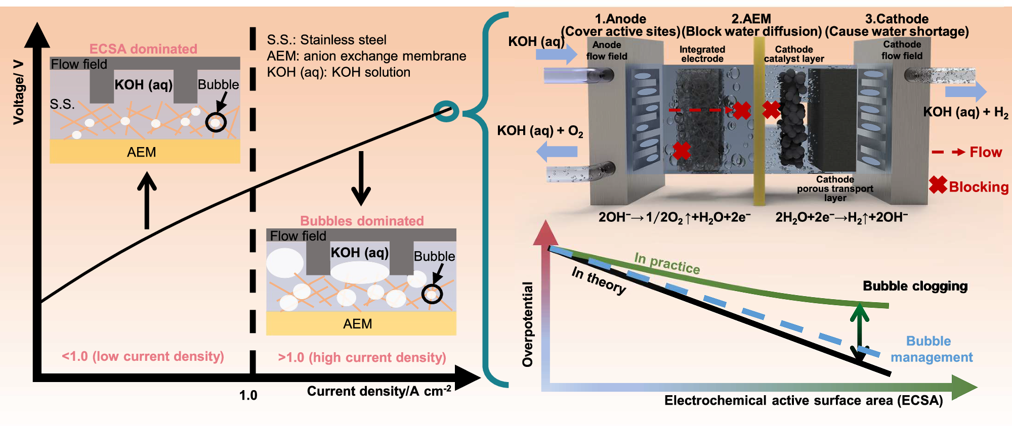 Fig. 1: Bubble dynamics matters high-rate water electrolysis efficiency.