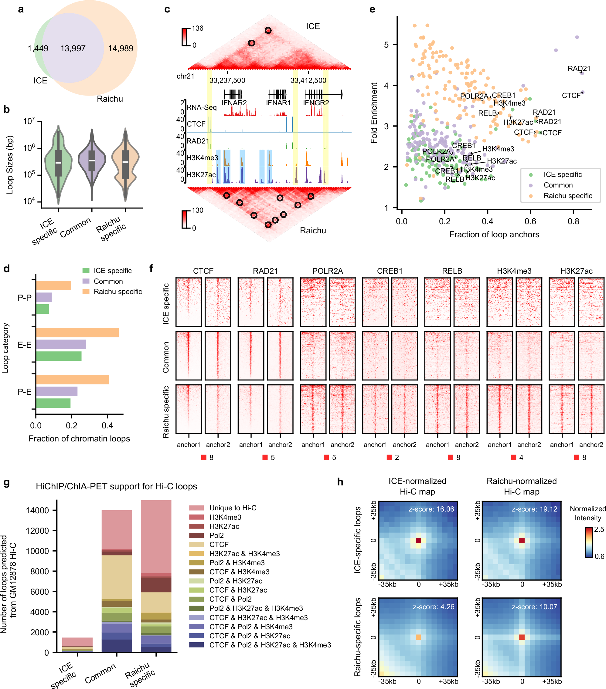 Fig. 2: Raichu identifies thousands of transcription-related loops missed by ICE.