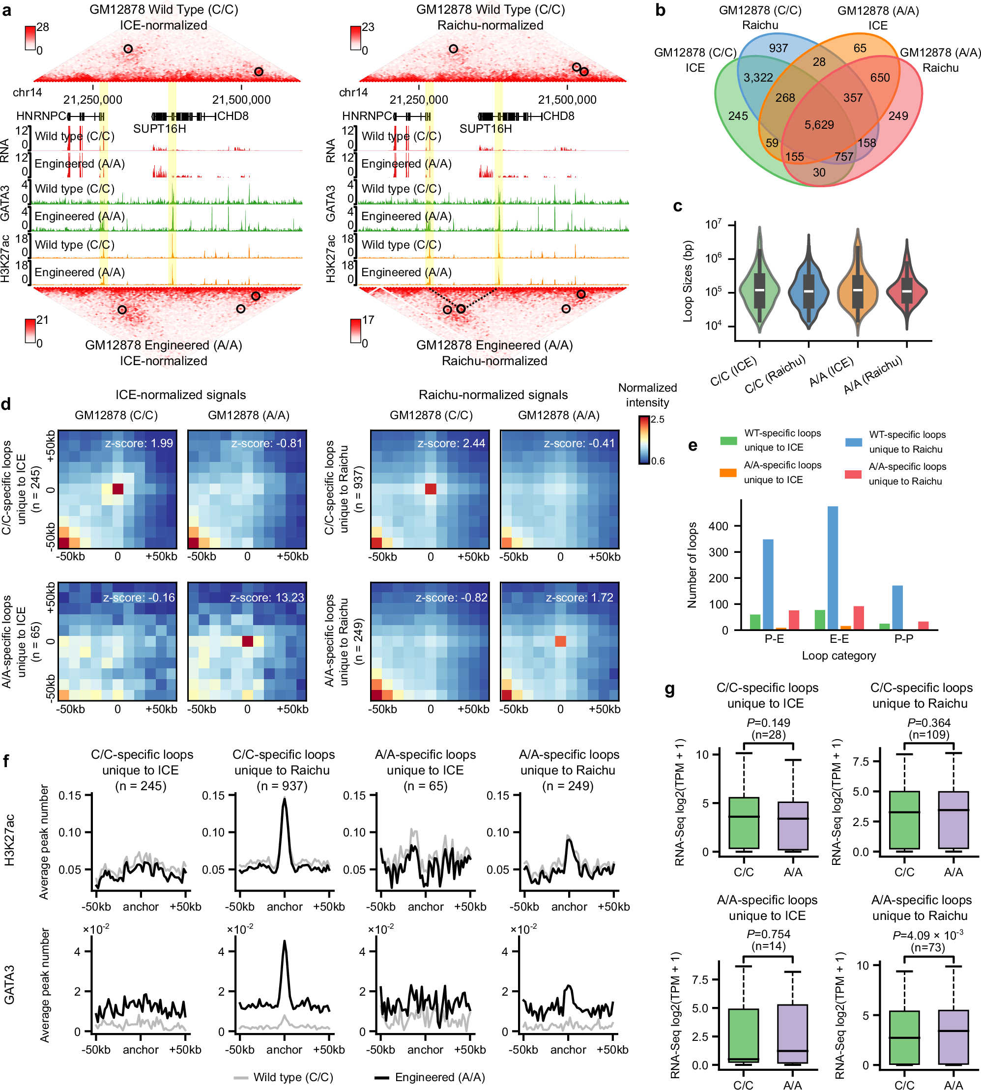 Fig. 5: Raichu detects unique differential loops associated with transcriptional regulation.