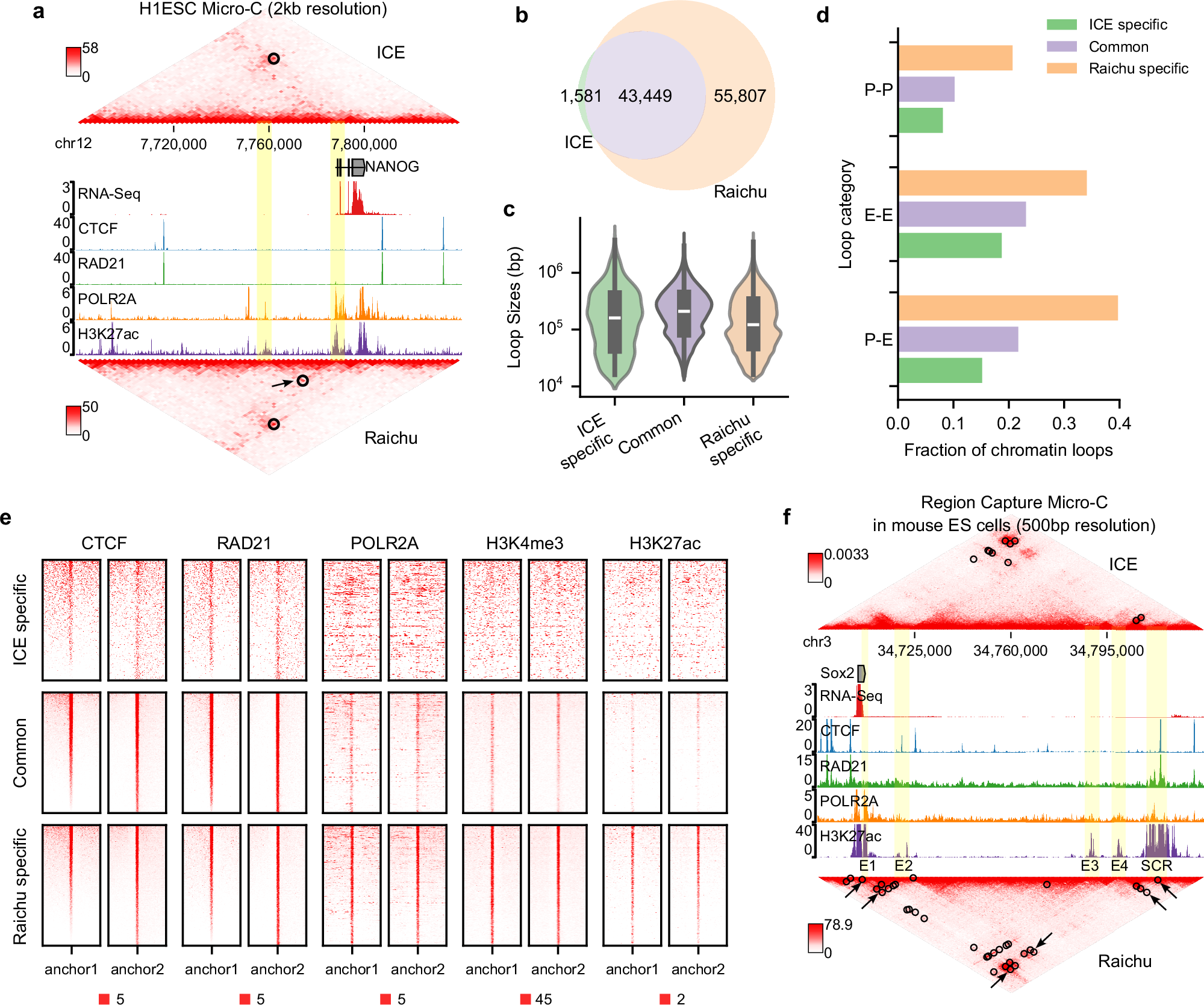 Fig. 7: Application of Raichu to Micro-C and Region Capture Micro-C datasets.