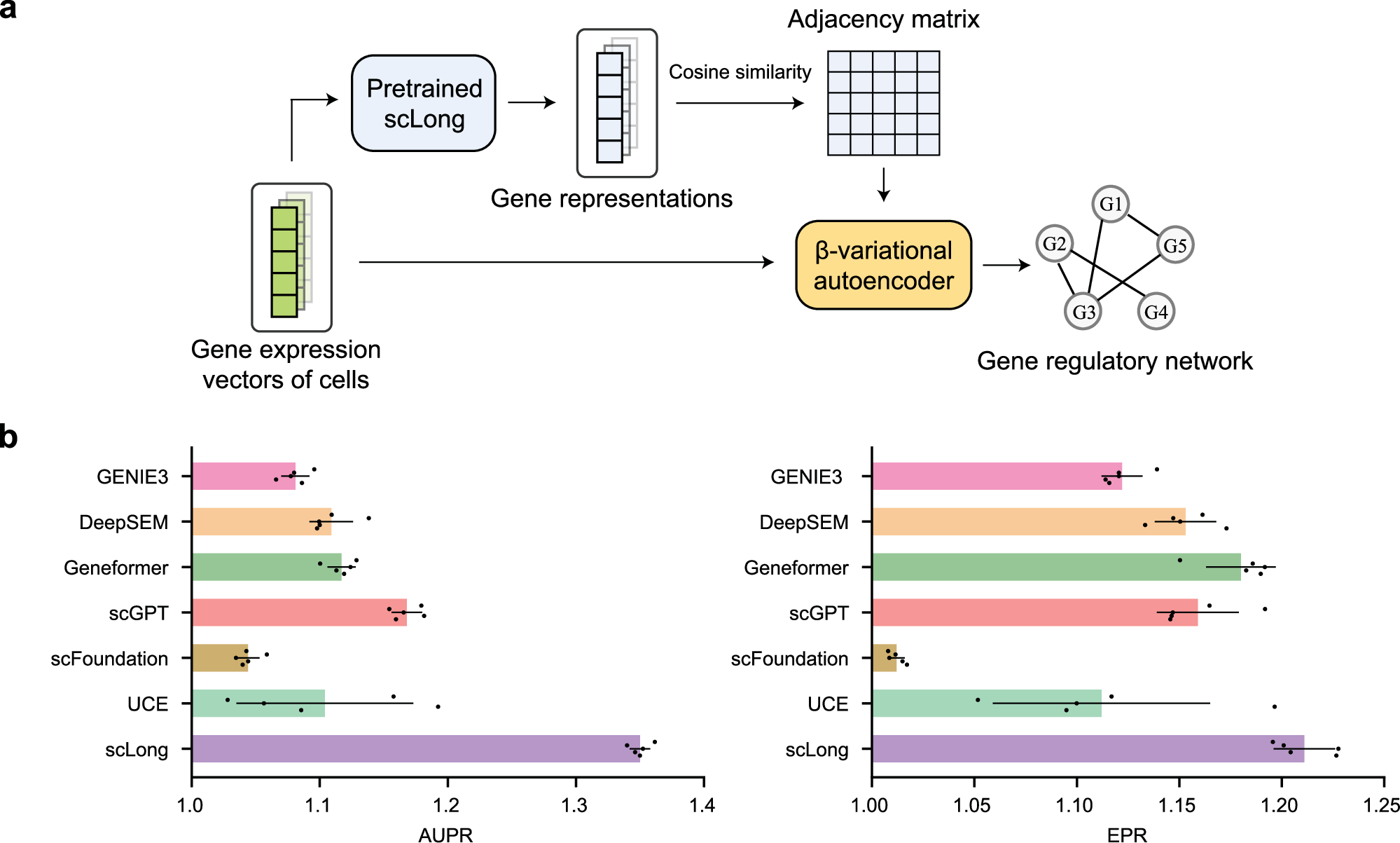 Fig. 5: scLong outperformed existing scRNA-seq foundation models and task-specific methods in gene regulatory network inference.