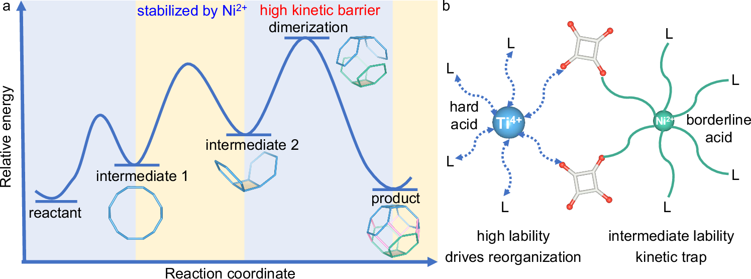 Fig. 3: Energy landscape and the role of coordination gradient.