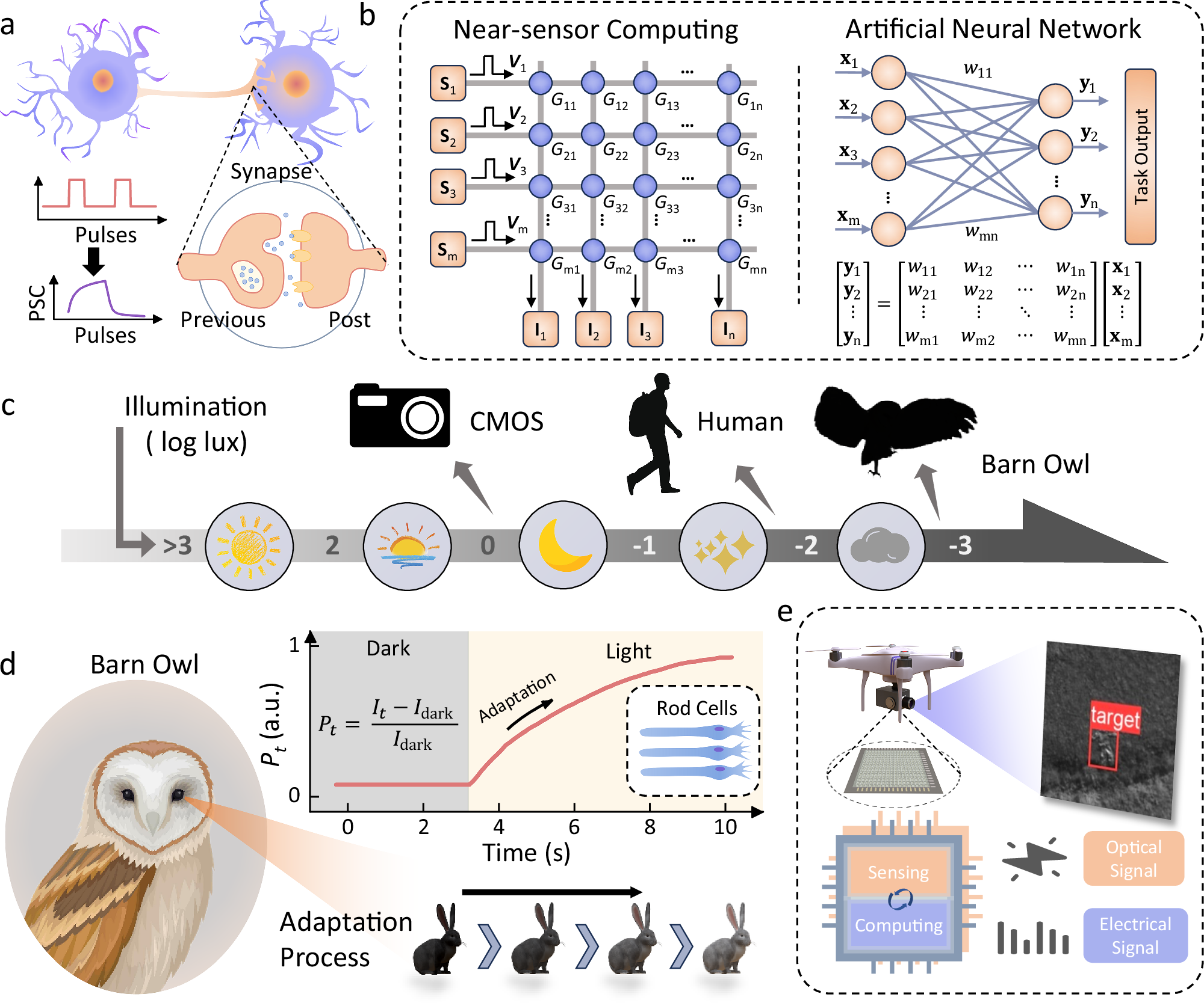 Fig. 1: Owl-inspired Neuromorphic Near-sensor Computing.