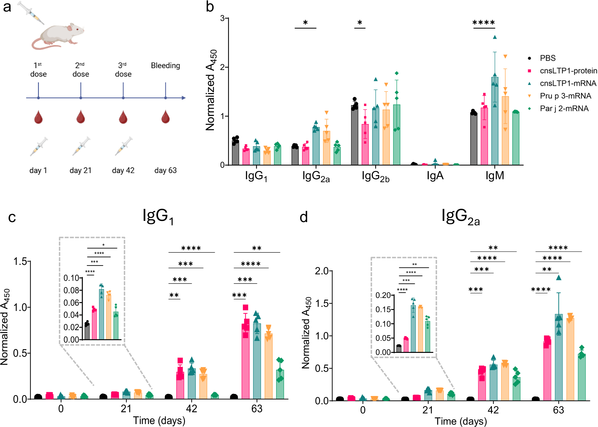 Fig. 2: Antibody profiles of mice immunized intramuscularly with cnsLTP1-mRNA, Pru p 3-mRNA, Par j 2-mRNA, or cnsLTP1-protein.