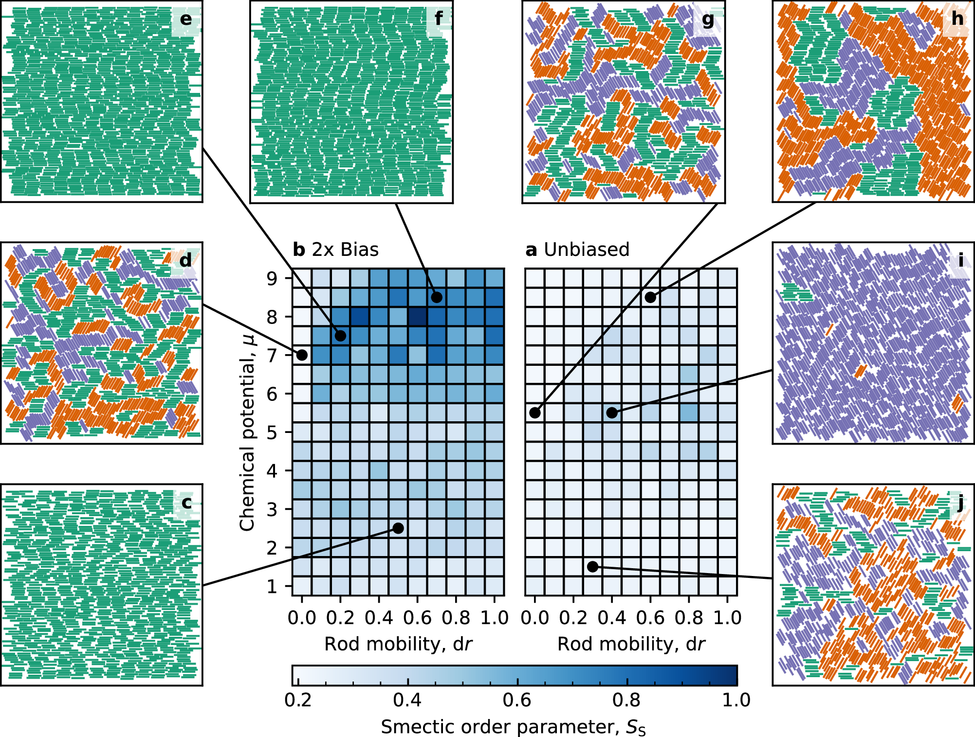 Fig. 5: Grand-canonical Monte Carlo simulations of hard rods on surface with and without bias.